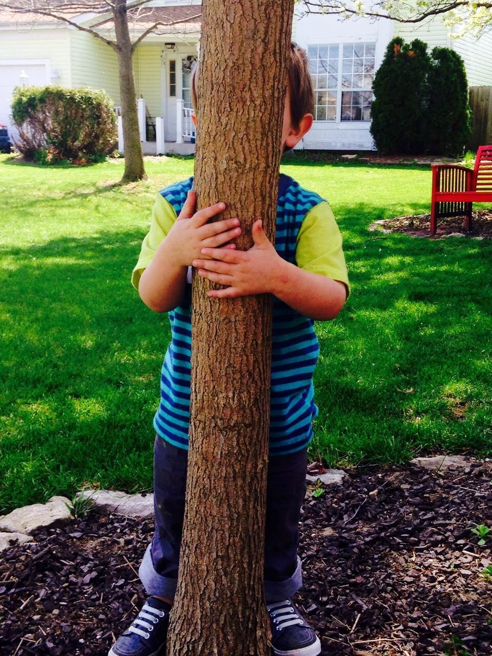 Ульта игра в прятки. Прячется за деревом. Спрятался за деревом. Ребенок прячется. Мальчик спрятался за дерево.