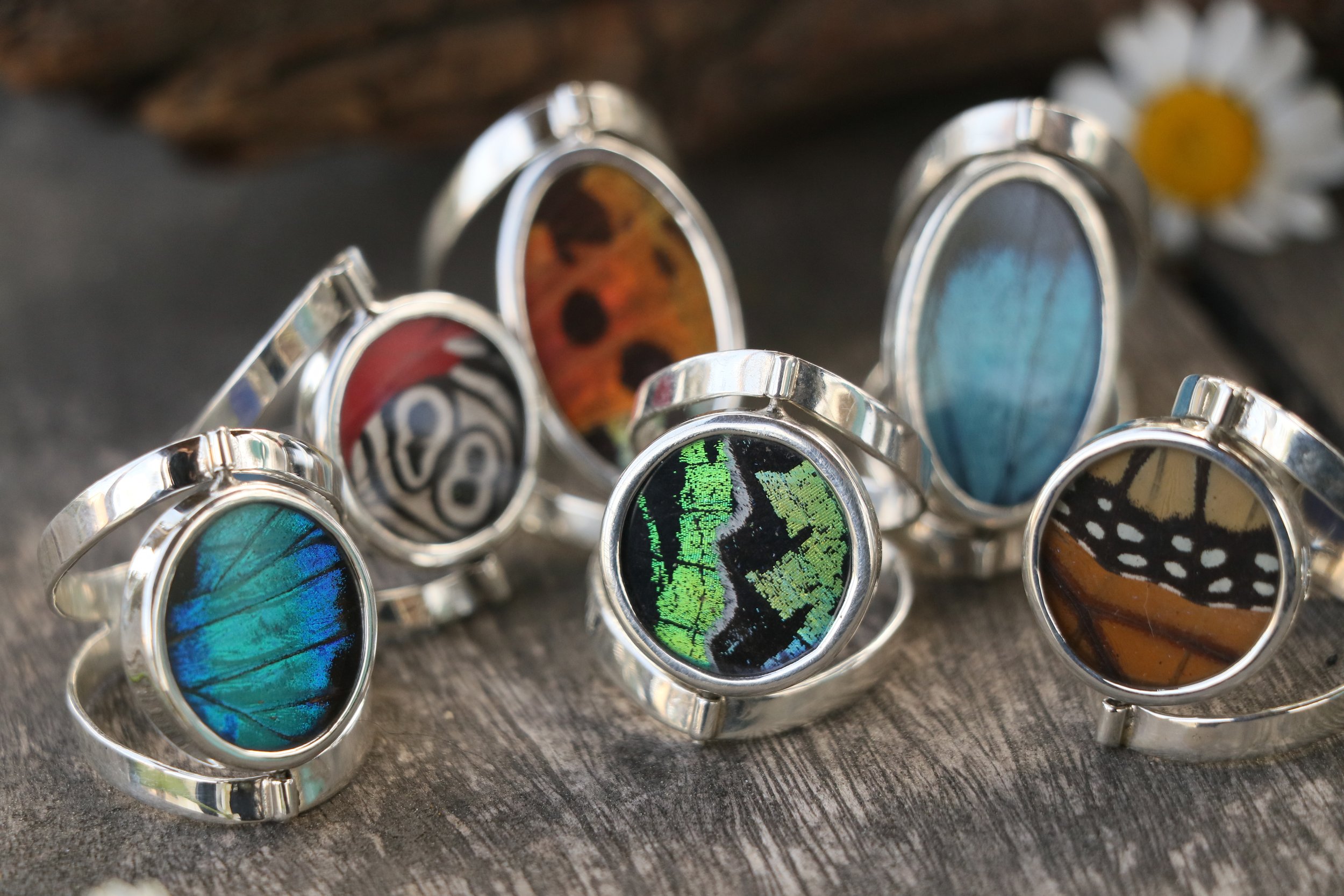 Butterfly Ring Group 2.jpeg