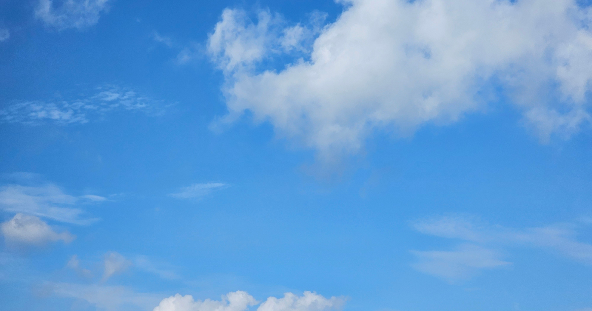 Spring Resilience: What the Toronto Blue Jays Can Teach Us About Starting Again