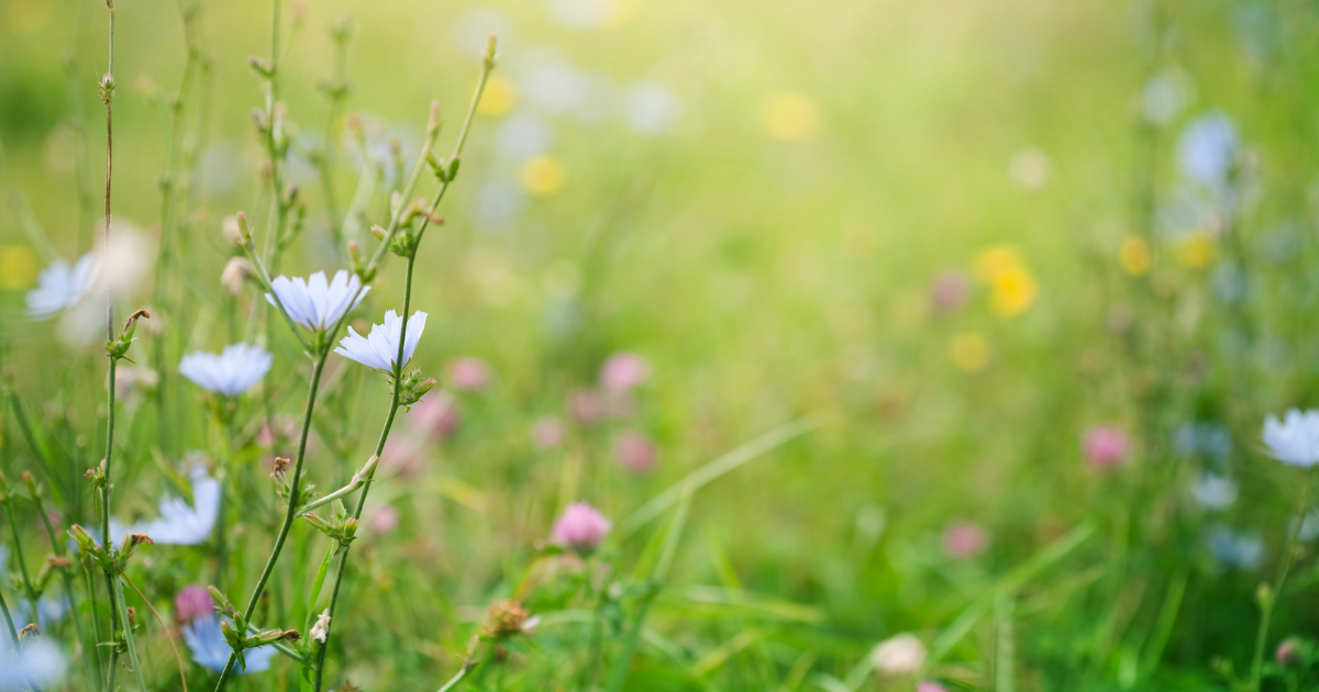 Spring Cleaning For Your Mental Health