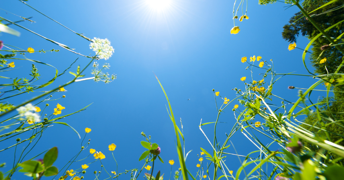Calgary Summer Activities for Families on a Budget