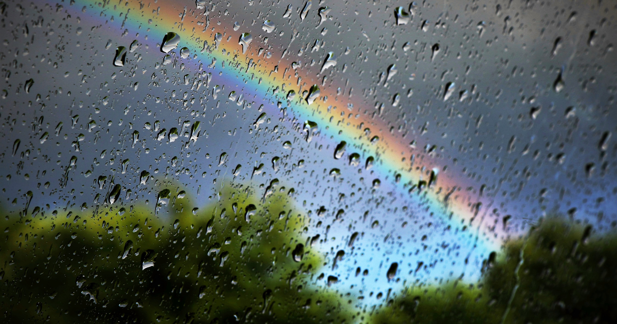 I Grow in the Rain — Why Storms Shape Us