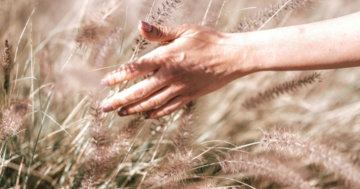 Moving Through a Difficult Transition in Your Life