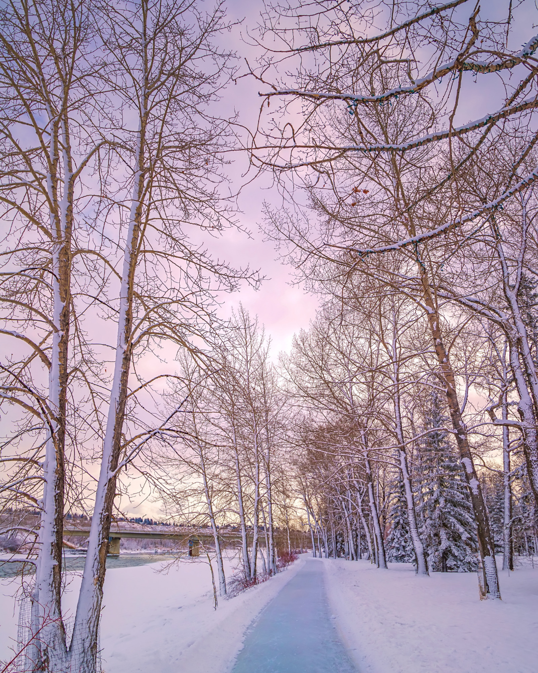 Snowy pathway at sunset along the Bow river in Calgary Alberta. Representative of a peaceful and hopeful future
