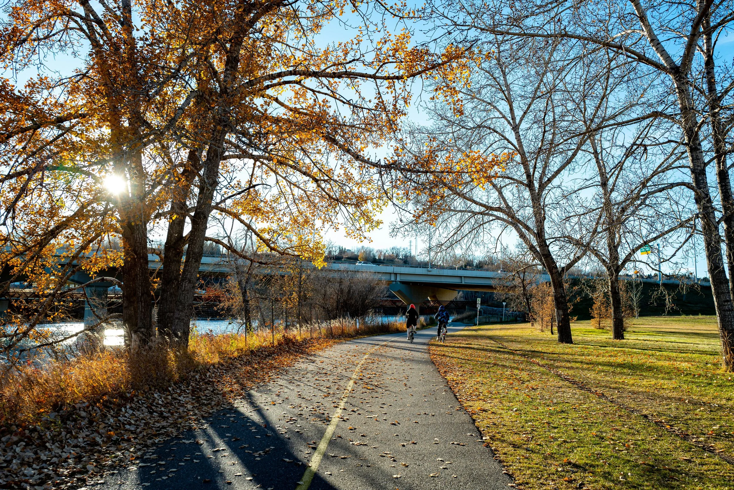 A sunny, natural walking trail pathway in Calgary, representing an unhurried, grounded connection to the local community.