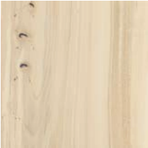 White Washed American Elm