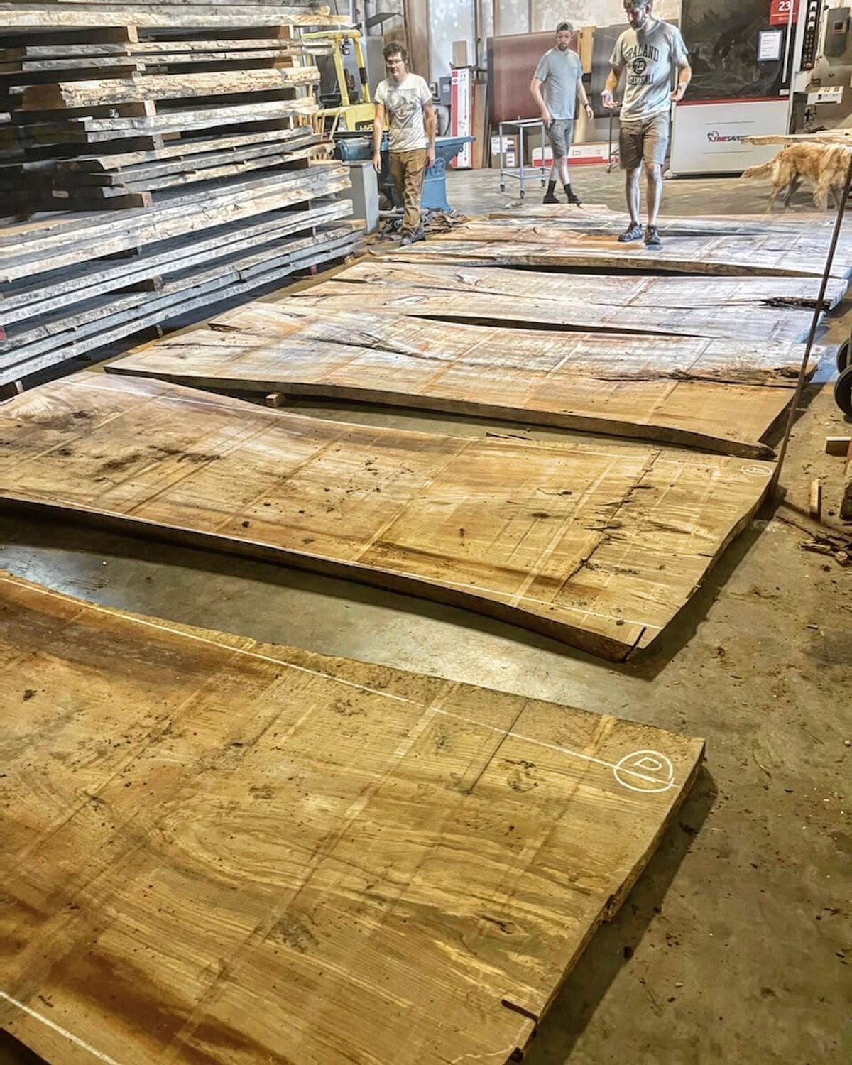 Fresh out of the kiln, the guys lined up these beautiful matching Elm slabs with plans to make a 40&rsquo; custom table😎😎😎
.
.
.
#urbanhardwoods #woodworking #slab #liveedge #table #woodshoplife #furniture #furnituredesign #seattle