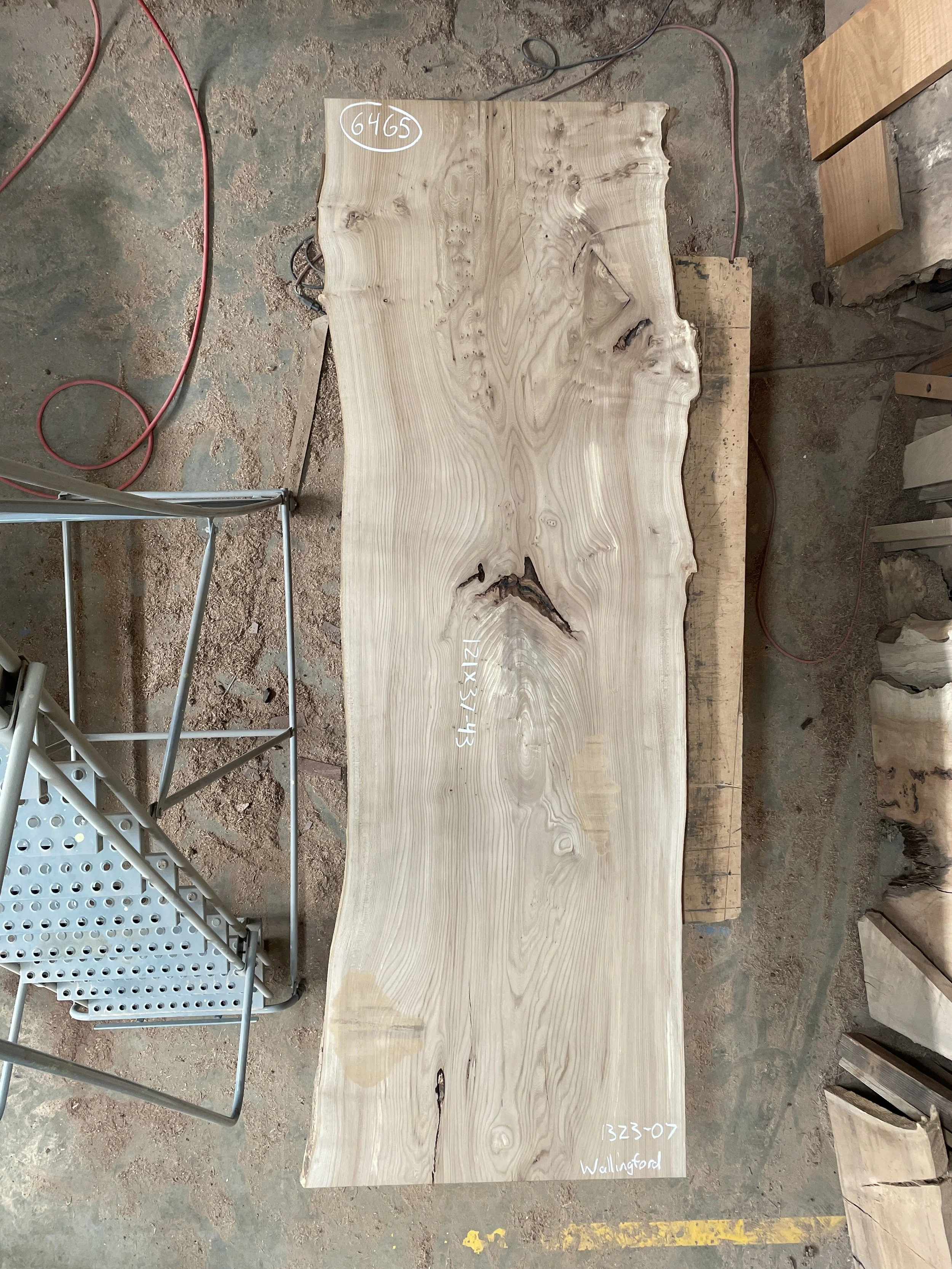 #6465 English Elm 121_ x 37-43_ $10,400.jpeg