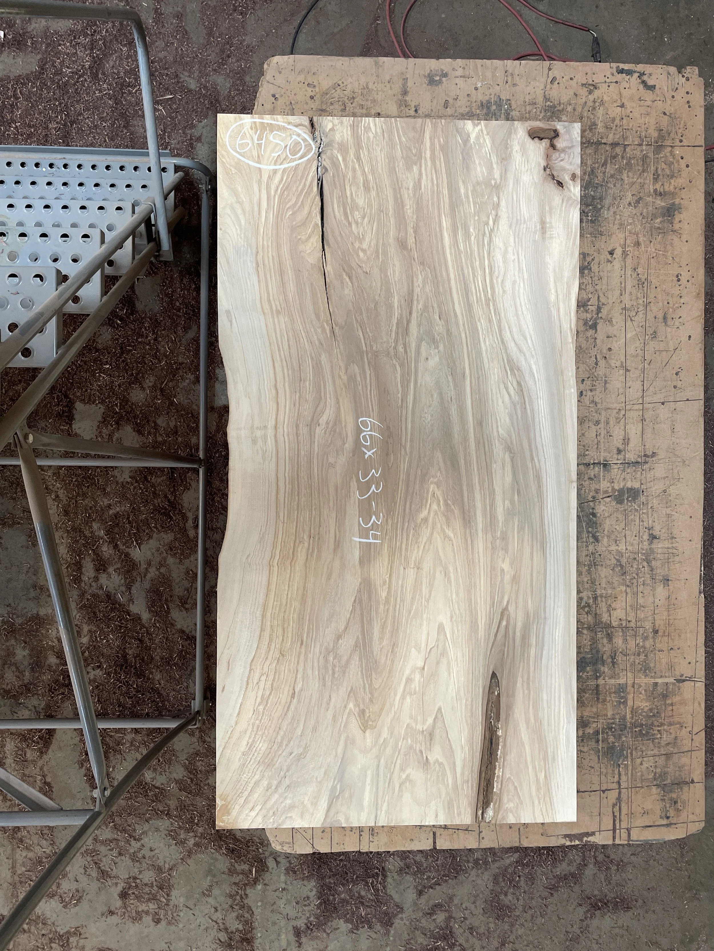 #6450 American Elm 66 x 33-34 $3,400.jpeg