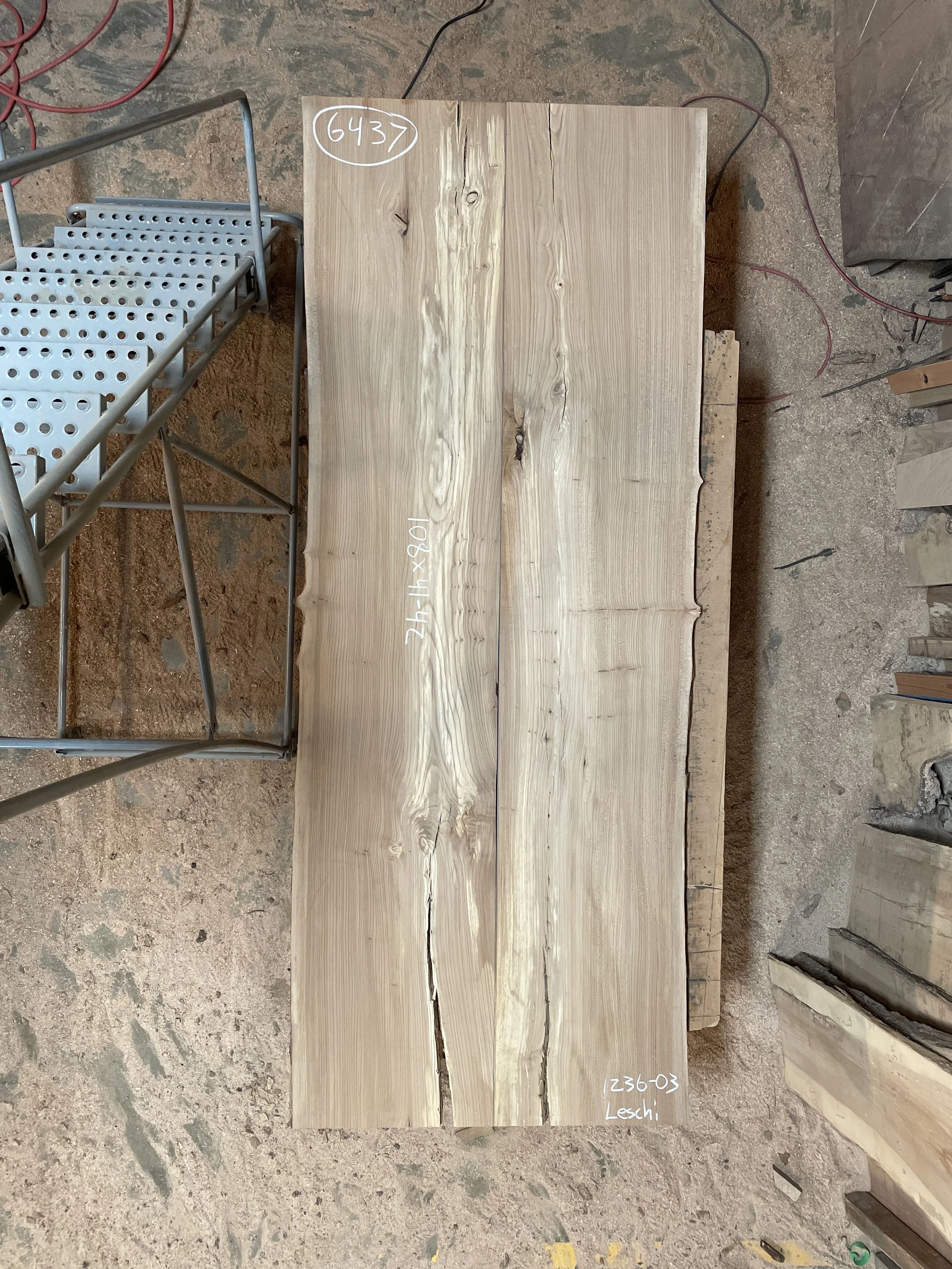 #6437 English Elm 108 x 41-42.jpeg