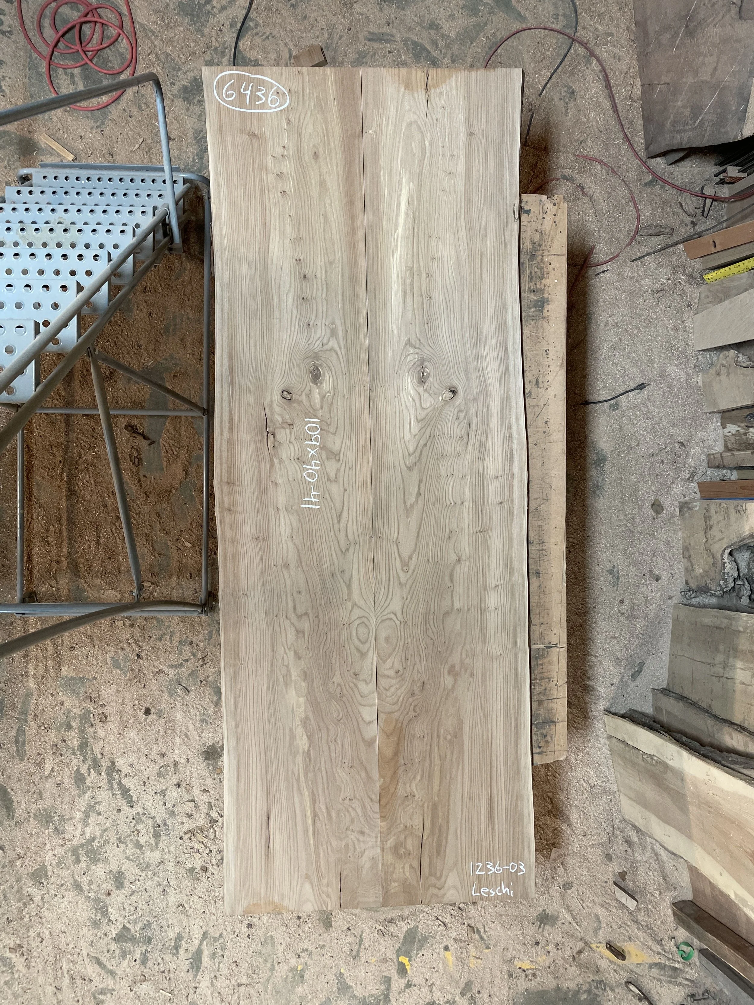 #6436 English Elm 109 x 40-41.jpeg
