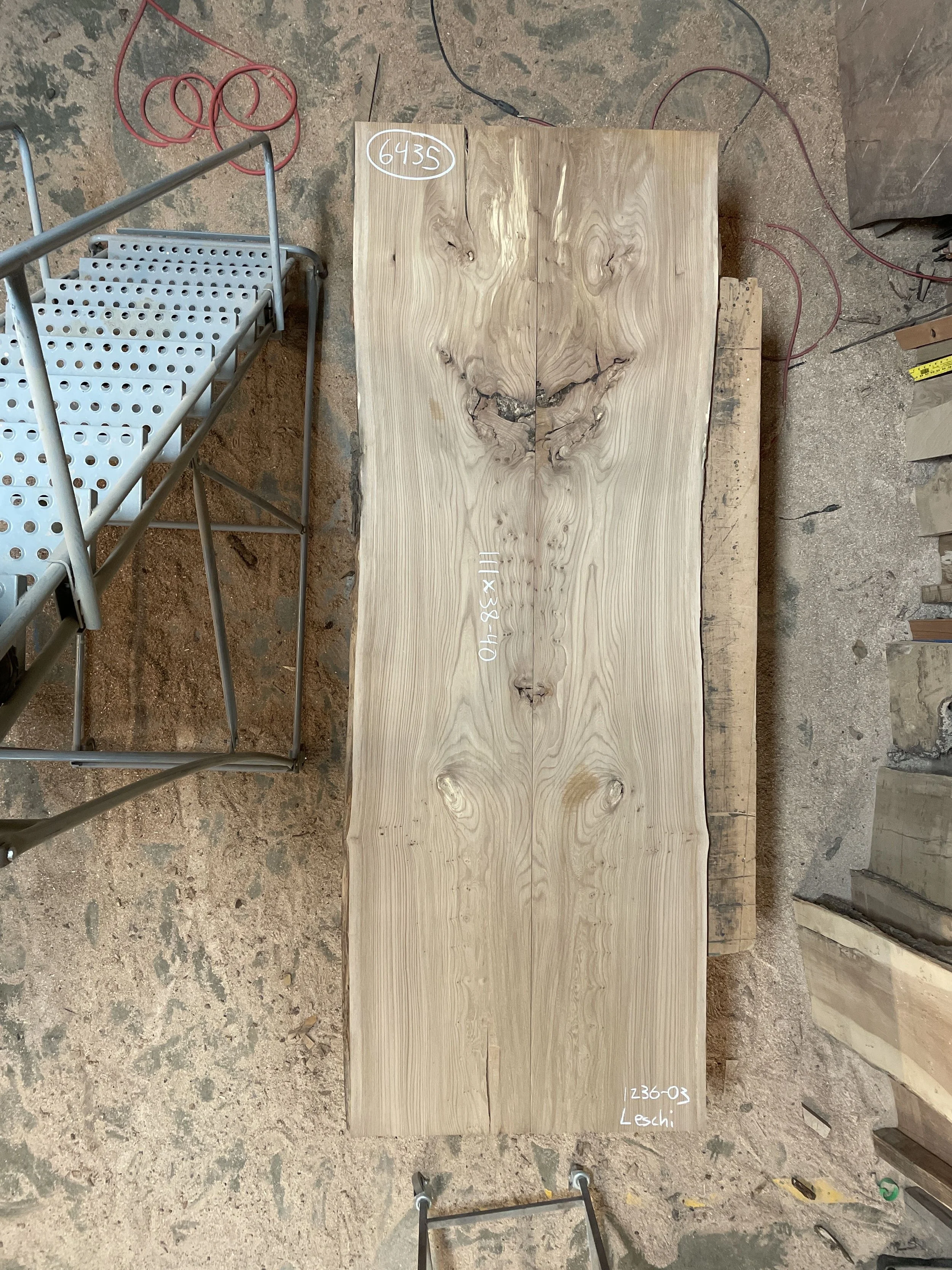 #6435 English Elm 111 x 38-40.jpeg