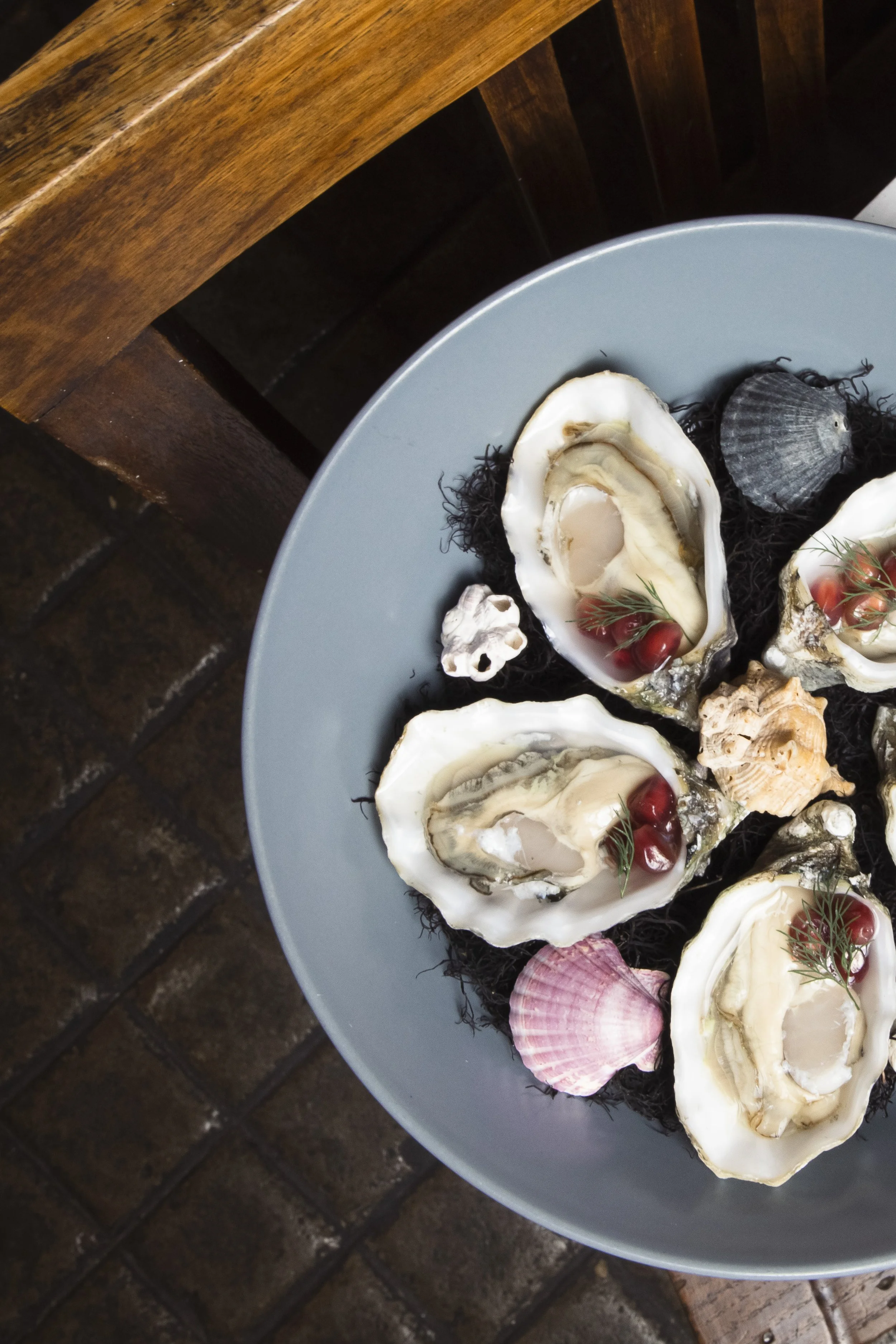 OSTRAS VINAGRETE DE ROMA (23).JPG