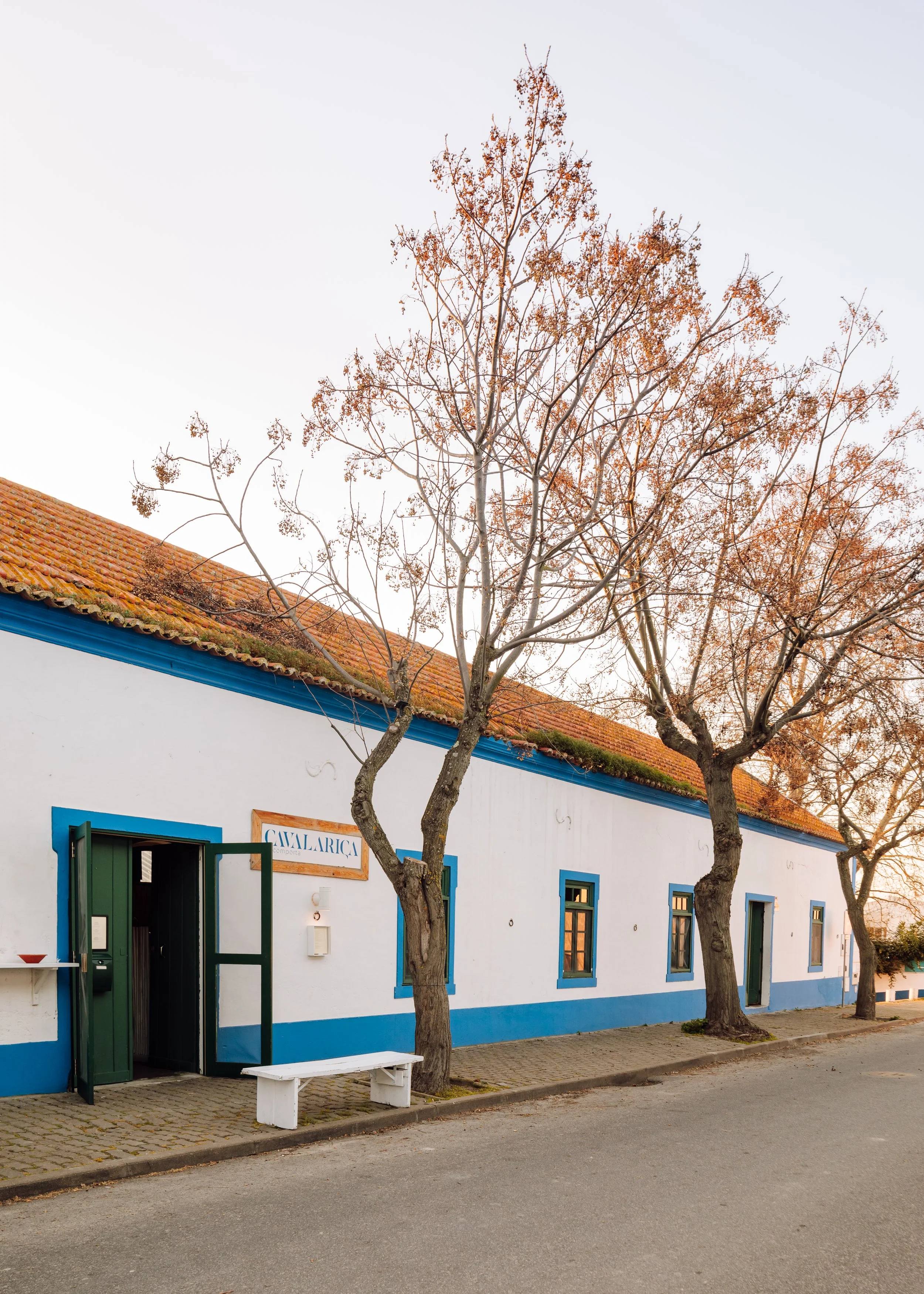 A white building with blue trim and a red tiled roof, situated on a street with leafless trees in front, during late autumn or early winter.