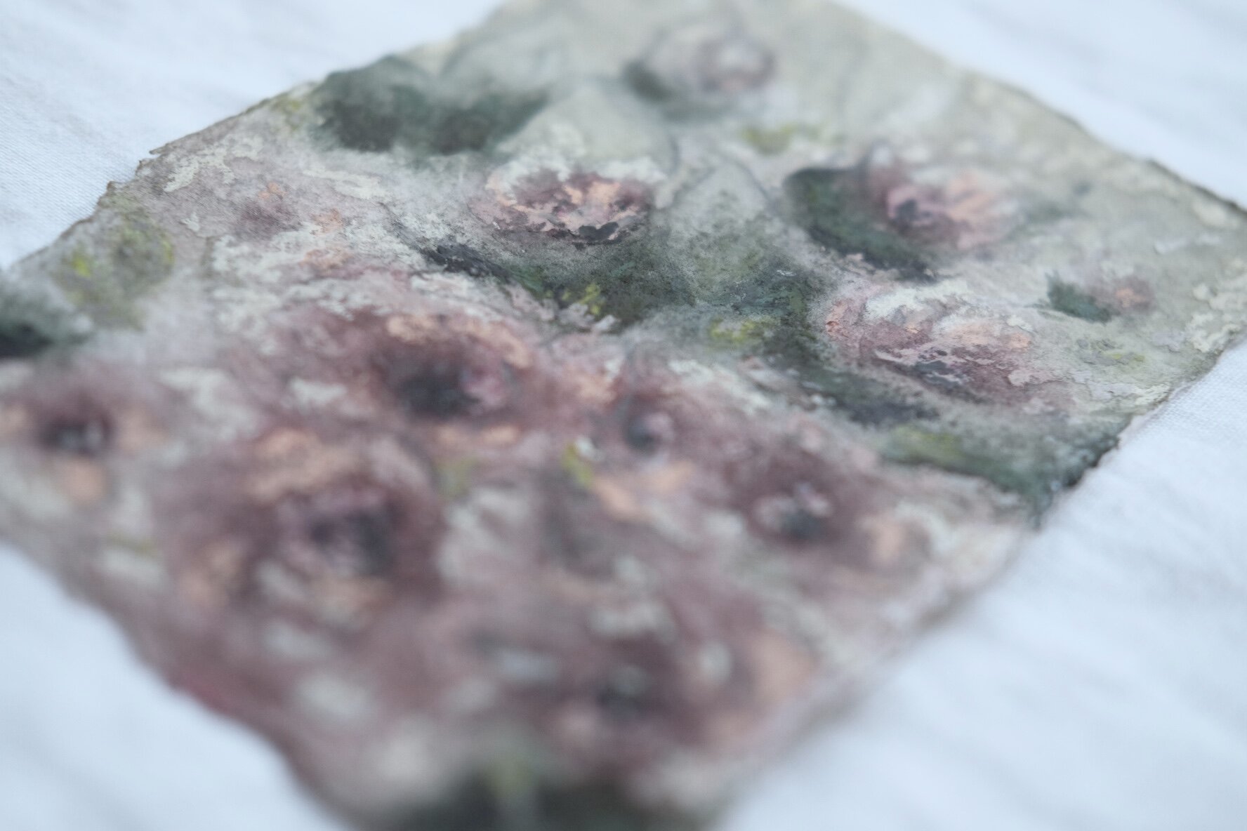 EE55038B-26E3-4EA5-BDB1-536531E64529.jpeg