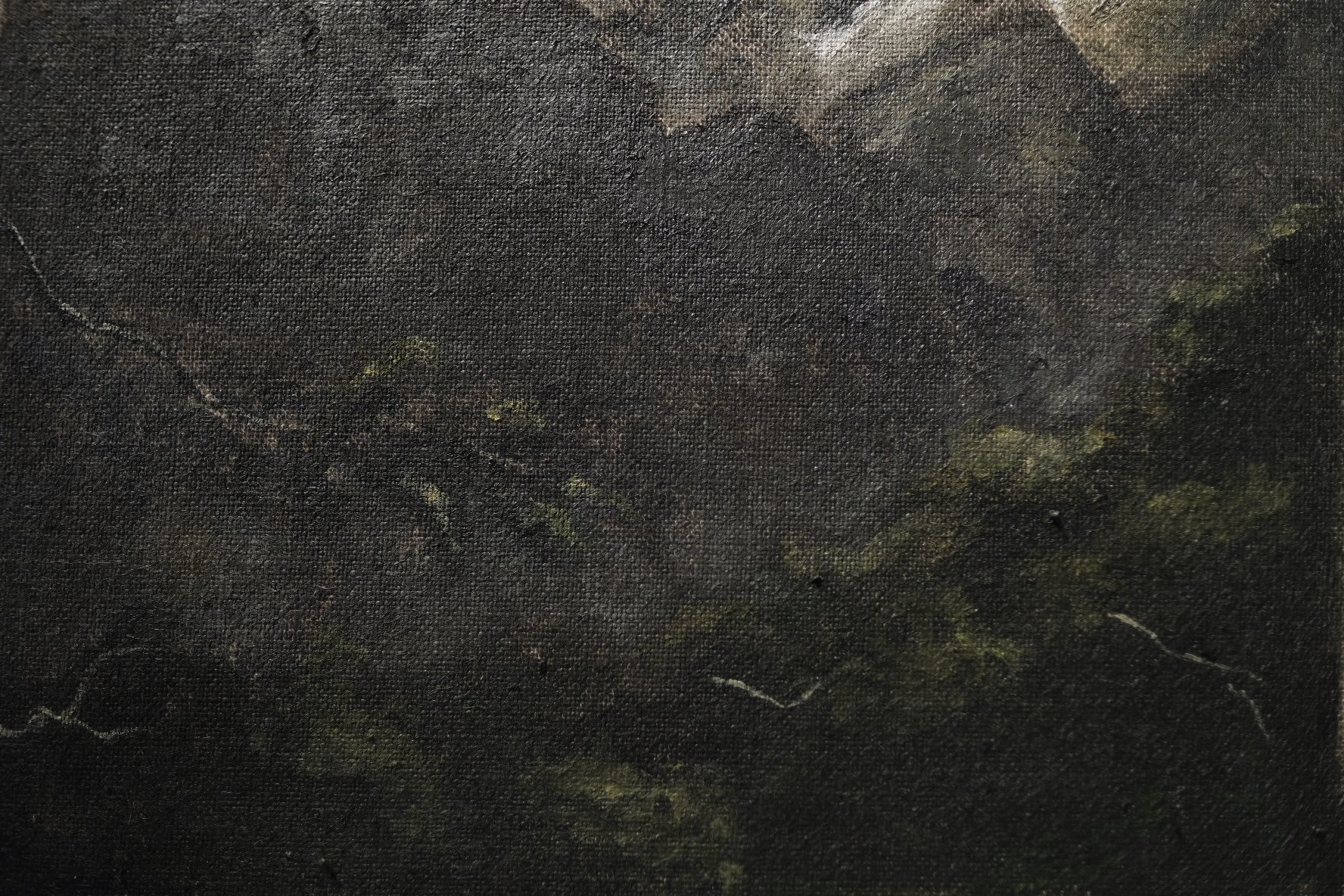 67051679-B423-4CD9-90D6-42526A69CB8C-35480-0000221D0004C339.jpeg