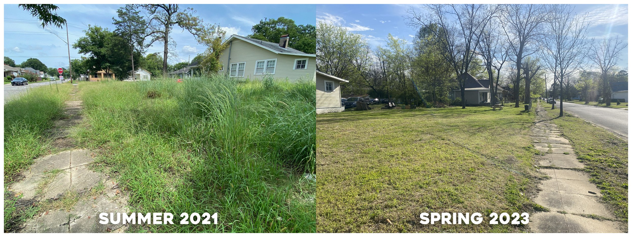 Vacant Lot Progress v3