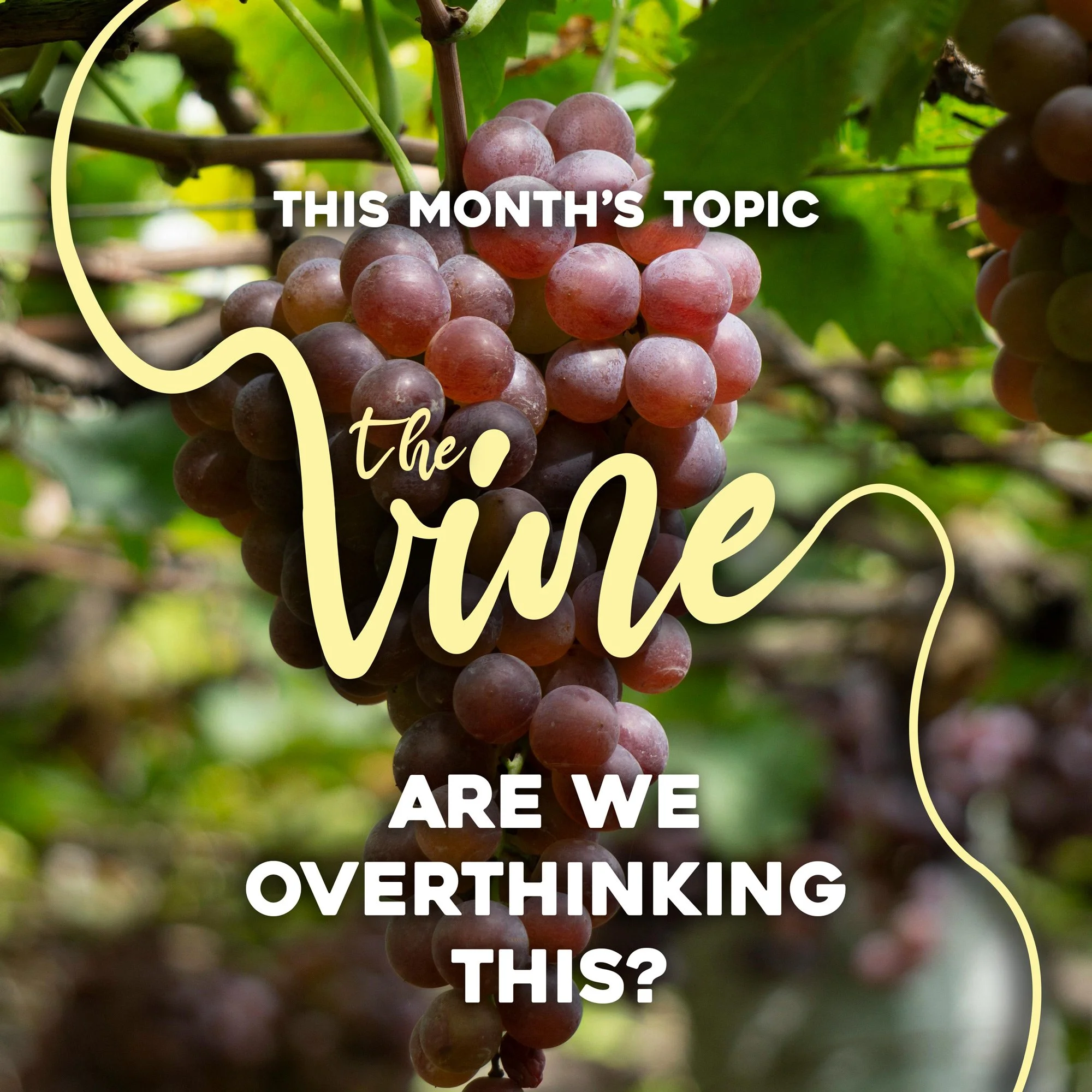 The Vine Are We Overthinking This?