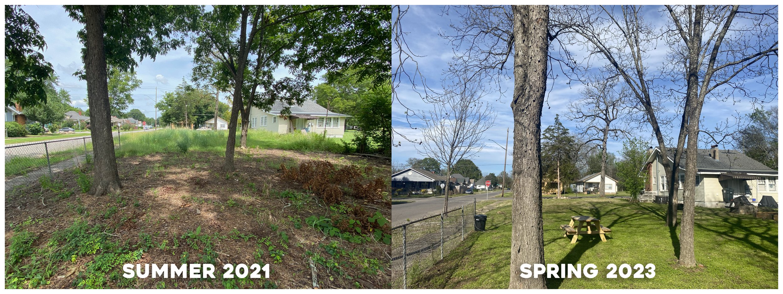 Vacant Lot Progress v2