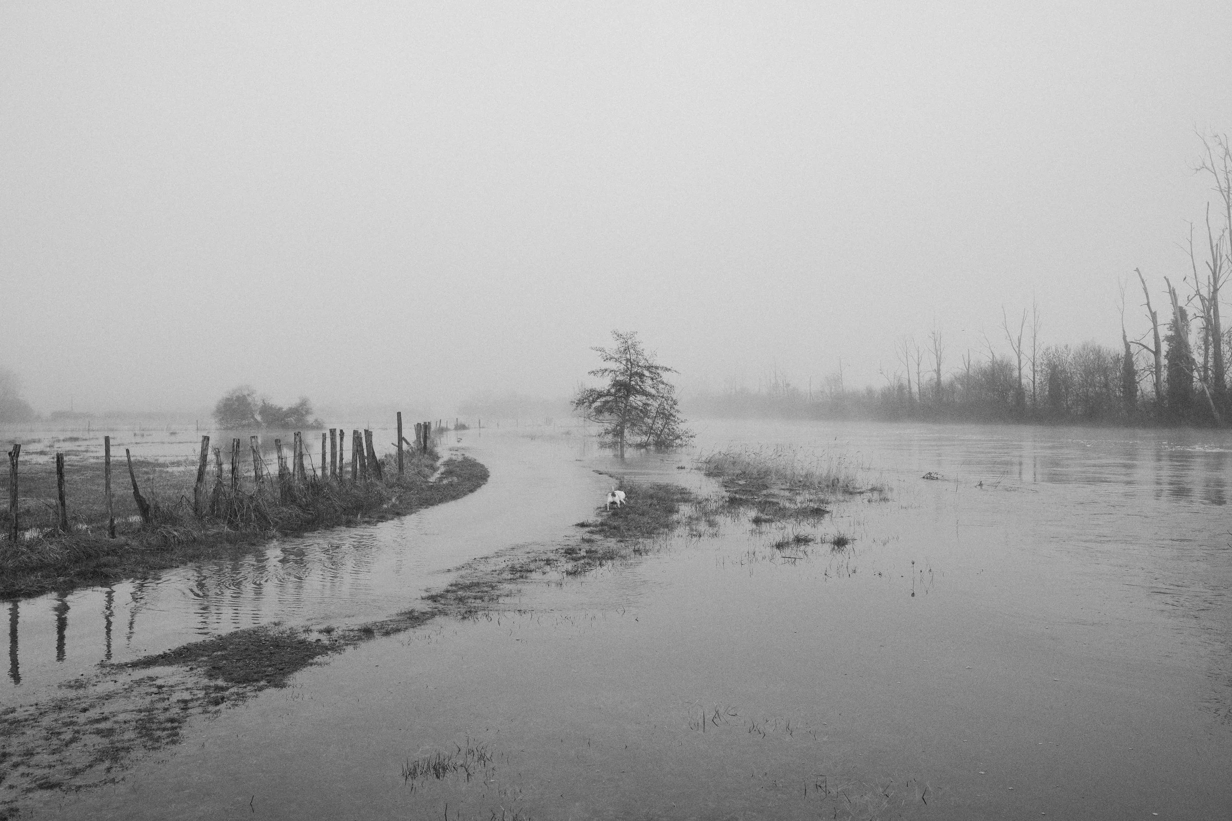 Flood - Export 1 - 07-2026-6.jpg