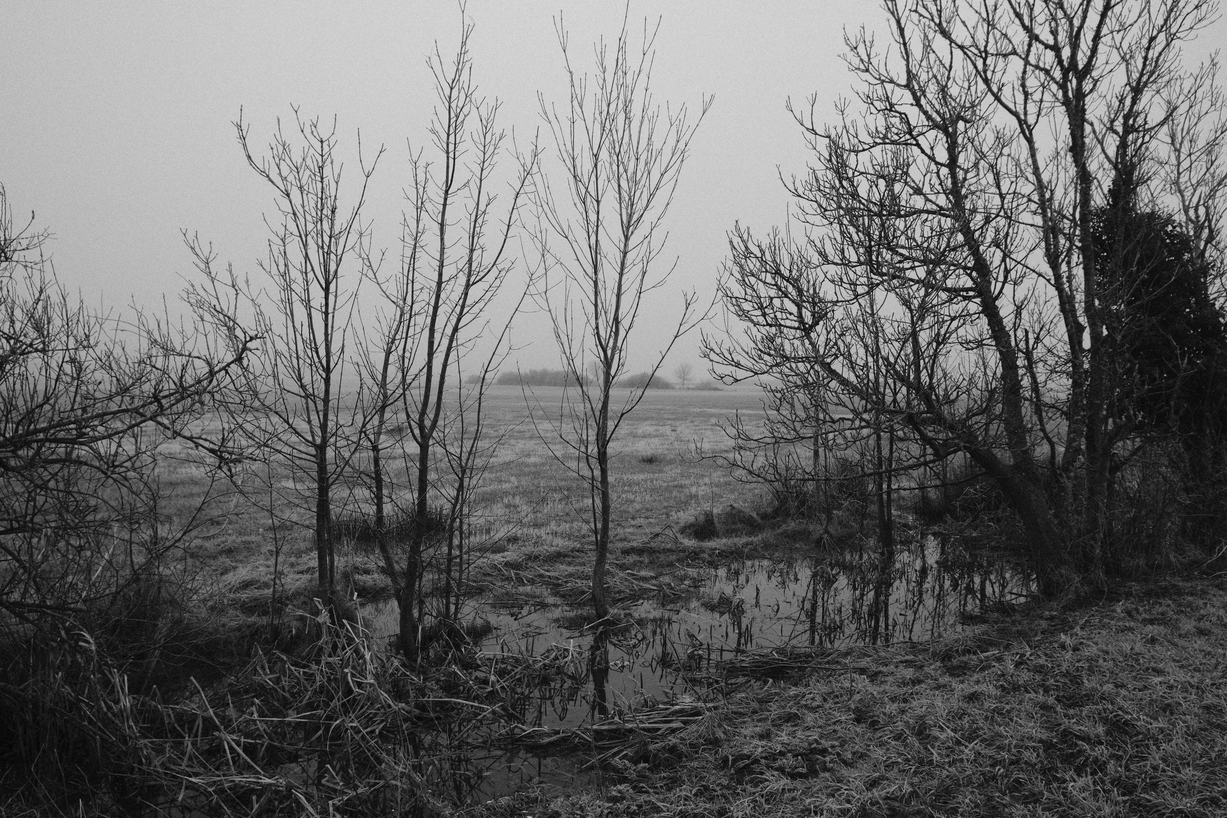 Flood - Export 1 - 07-2026-3.jpg