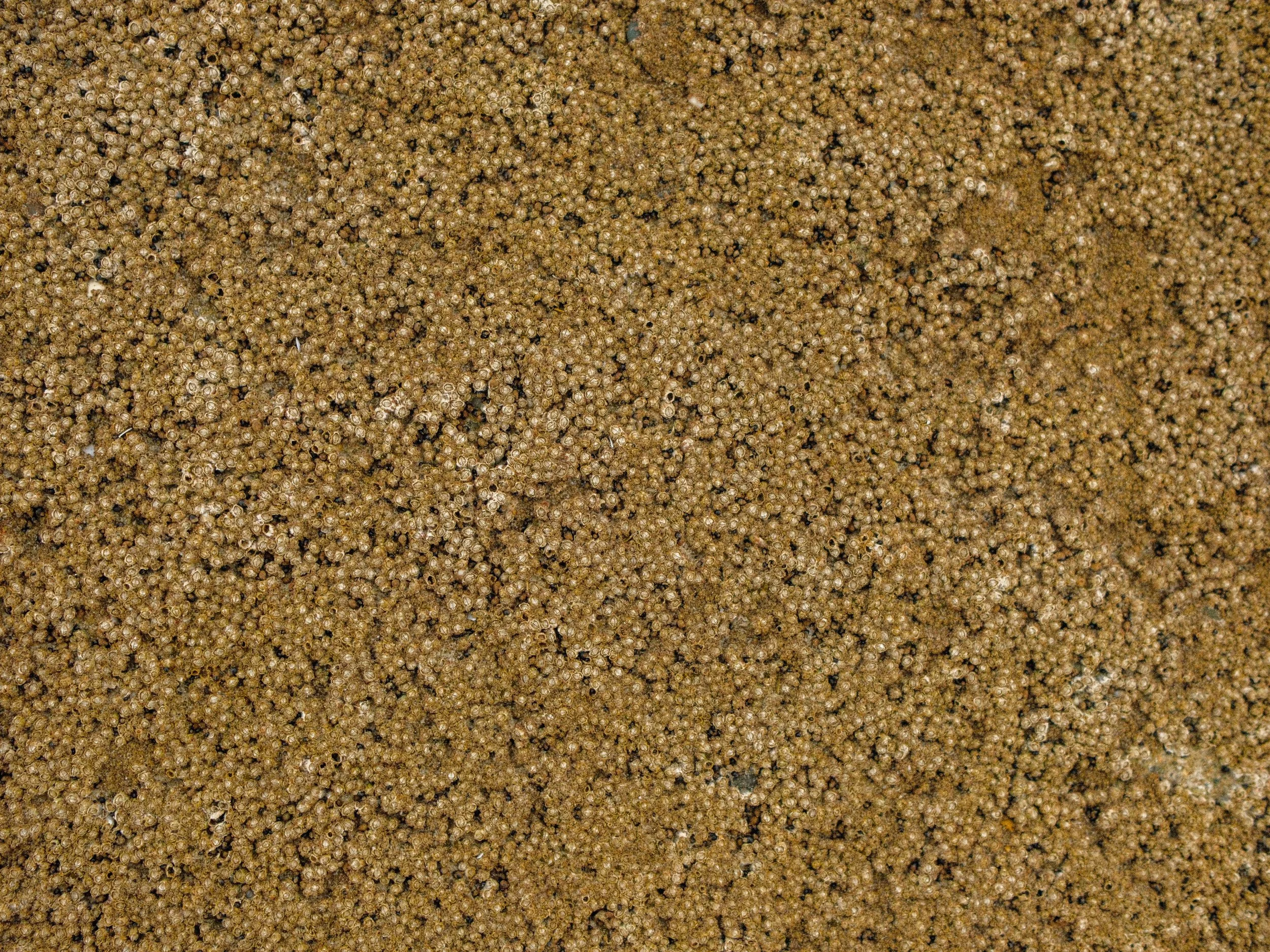 Global Export - 10.13 CUT - SD-13.jpg