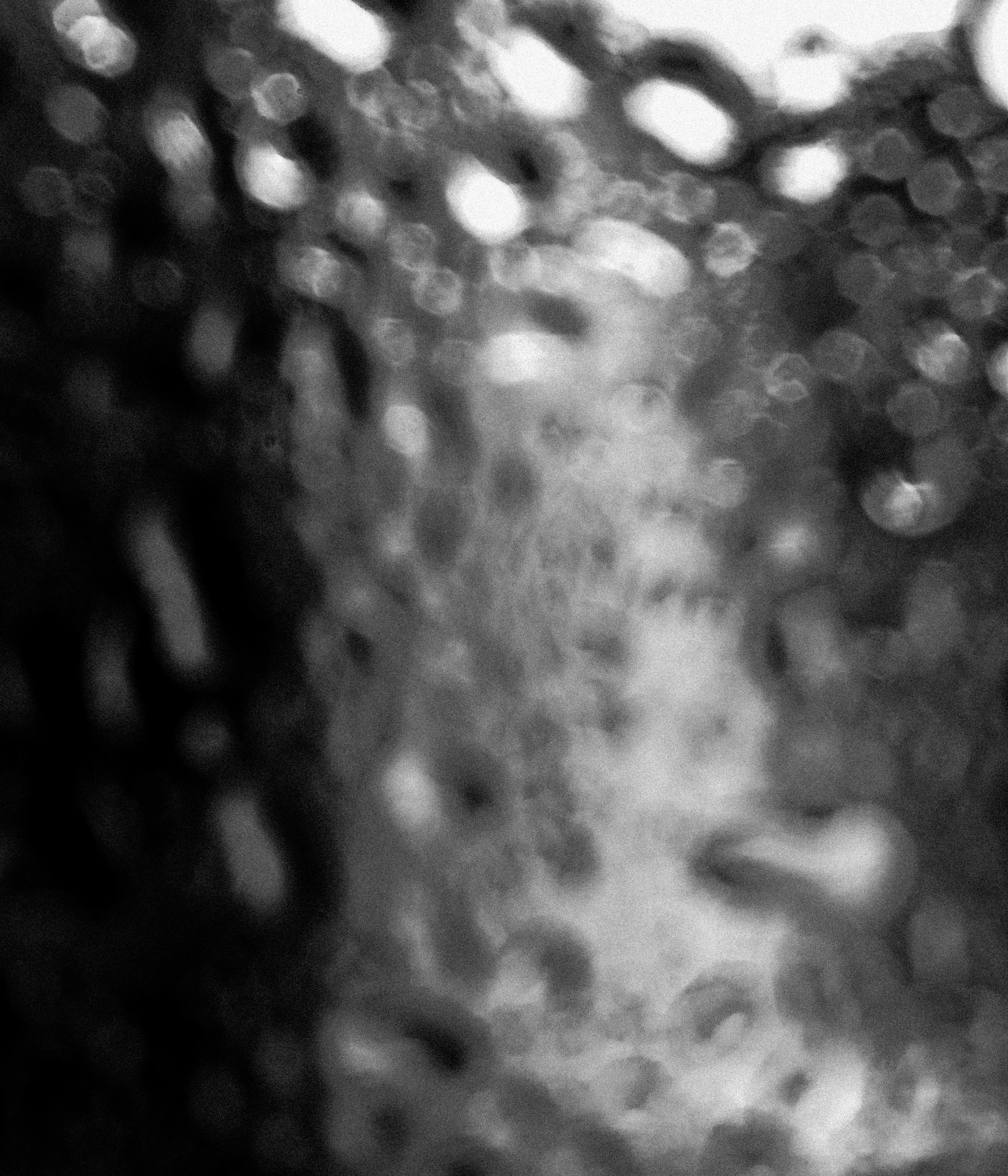 Known and Unknown Places - CUT WEB Color + Grain - 29.08.2026-5.jpg