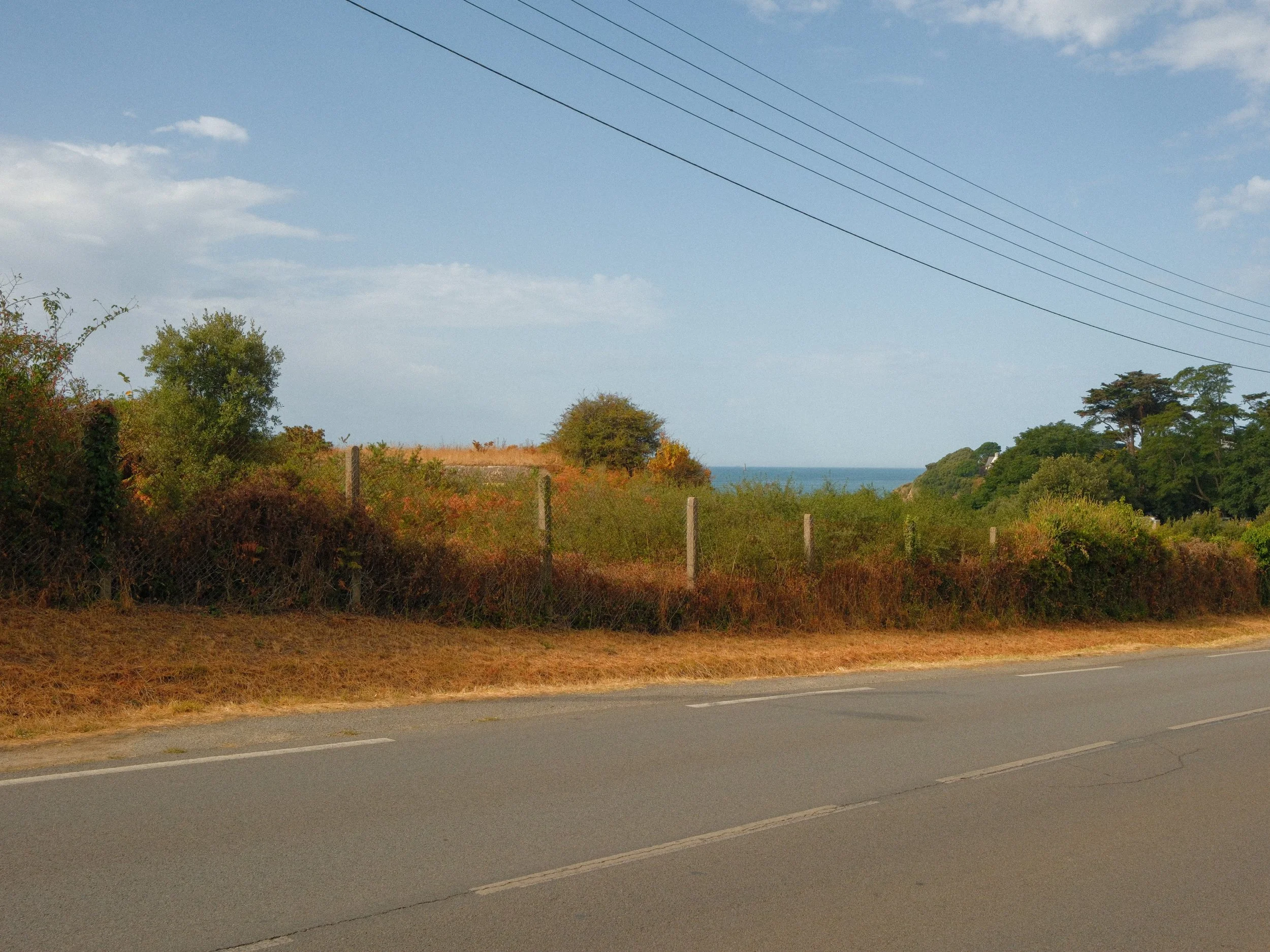 Global Export - 10.13 CUT - SD-9.jpg