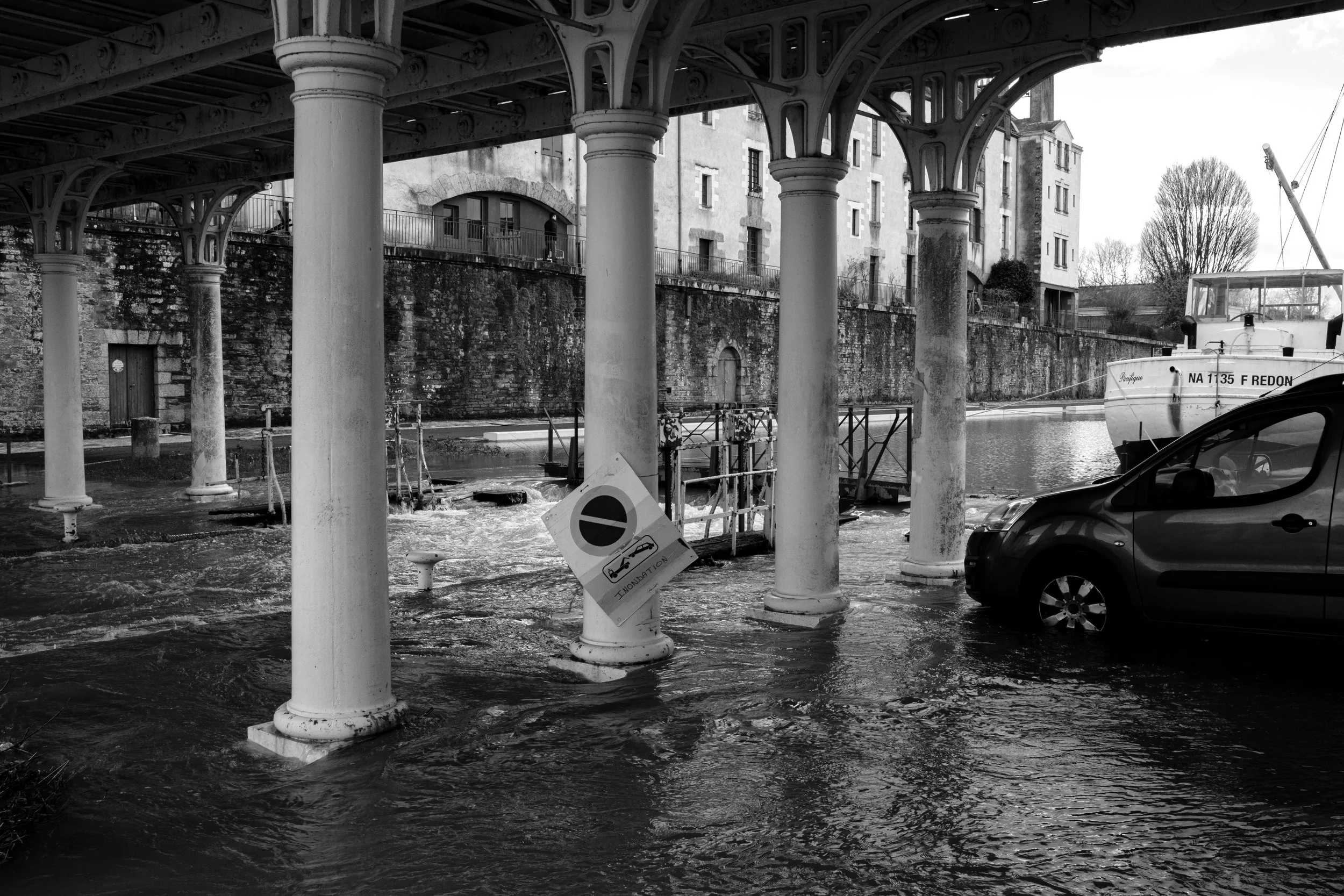 Flood - Export 1 - 07-2026-19.jpg