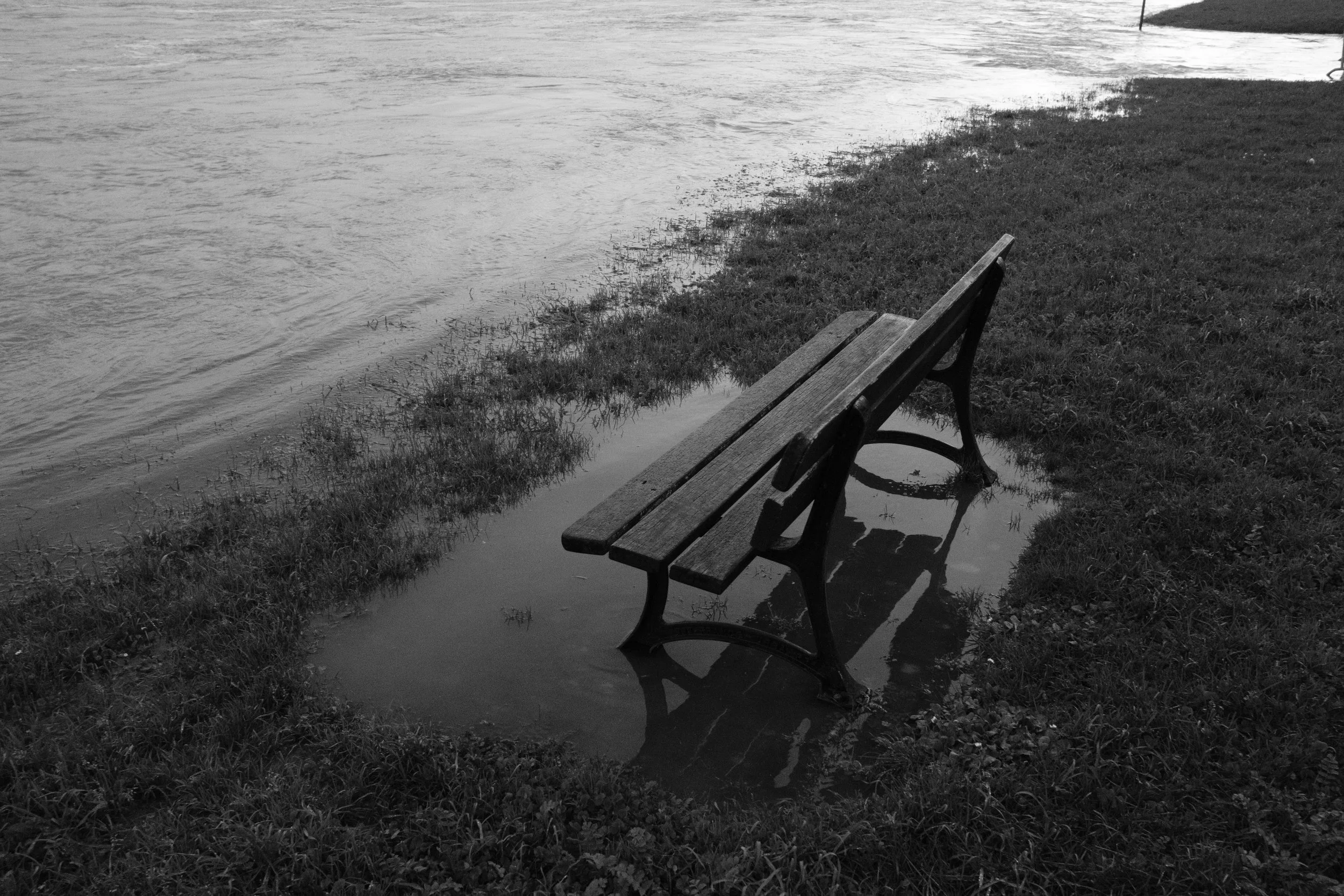 Flood - Export 1 - 07-2026-16.jpg