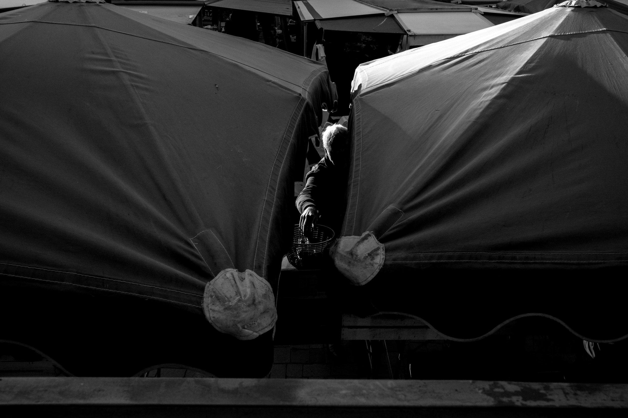 Les Lices - Fine Cut WEB - 28.08.2026-2.jpg