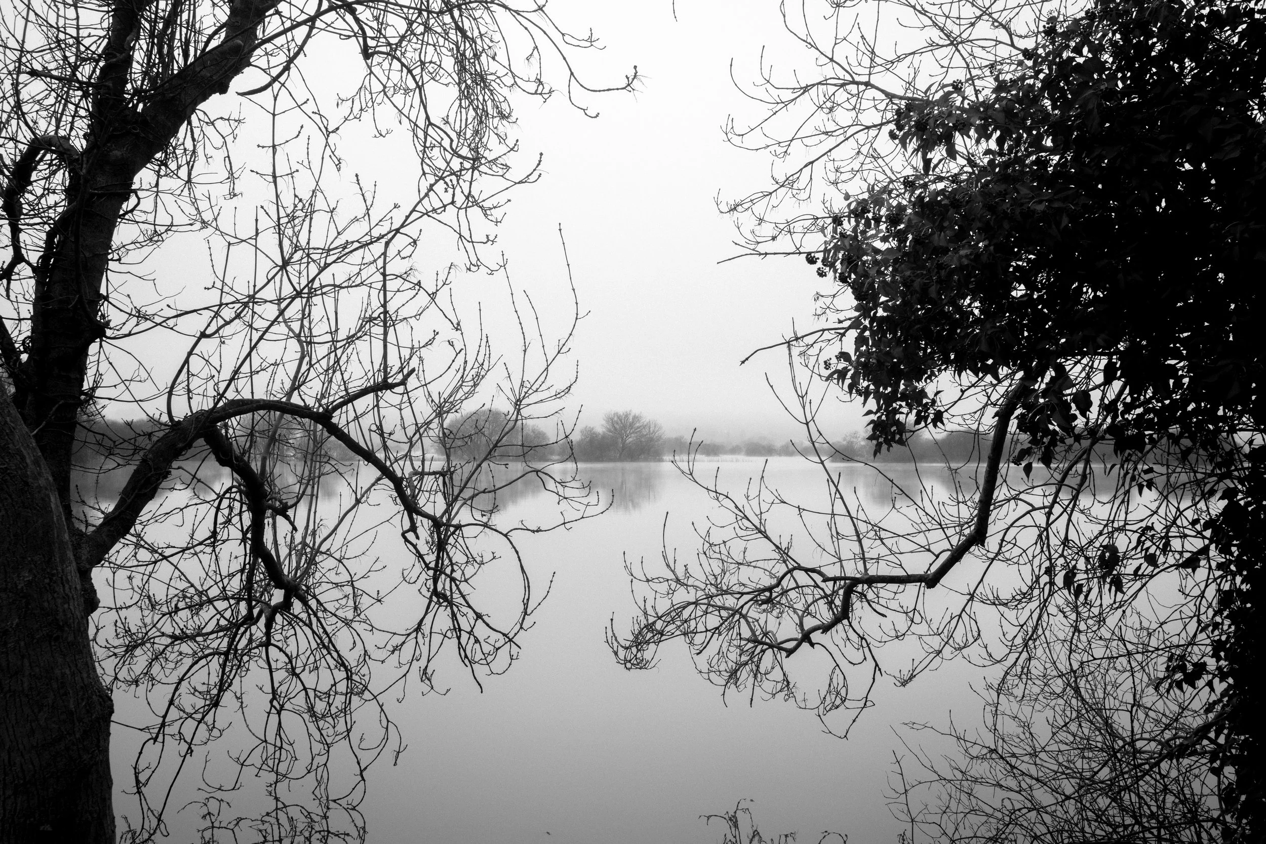 Flood - Export 1 - 07-2026-10.jpg
