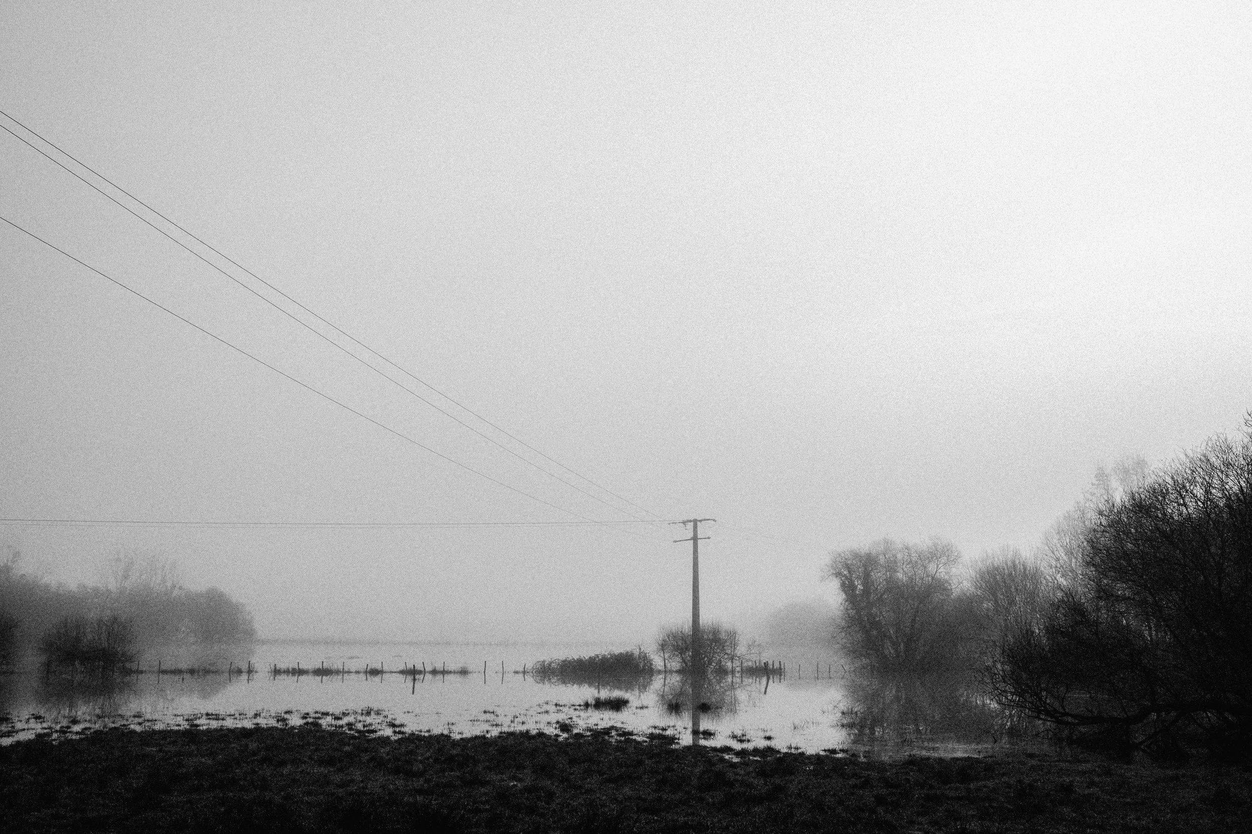 Flood - Export 1 - 07-2026-7.jpg