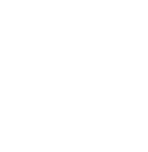 Certificate of Authenticity 2