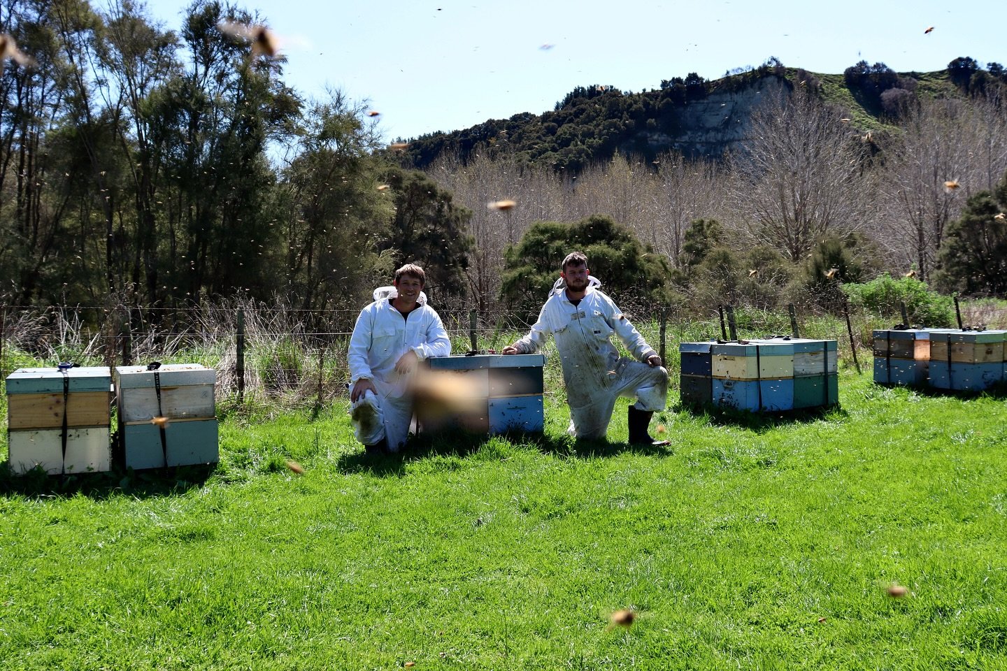 Did you know during the winter, bees cluster around the queen to keep her warm and maintain a temperature of around 34&deg;