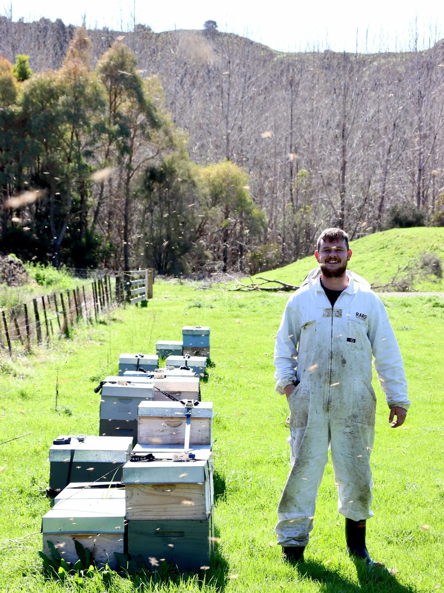 Meet Tommy, one of our hardworking beekeepers! He ensures every colony stays healthy and happy, protecting the bees that make our honey so special 🐝