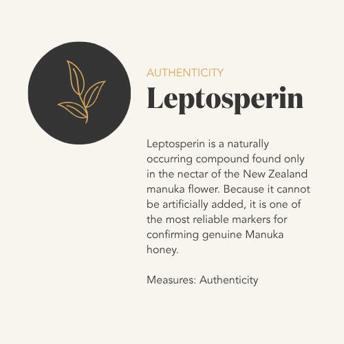 Information card about Leptosperin, highlighting its natural occurrence in New Zealand manuka flower nectar and its reliability as a marker for genuine manuka honey.