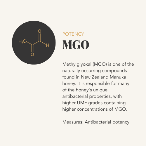 Infographic explaining methylglyoxal (MGO), a compound found in New Zealand Manuka honey, and its antibacterial properties.