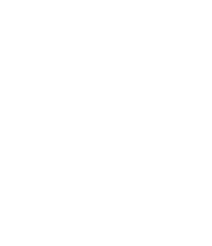 Certificate of Authenticity 1