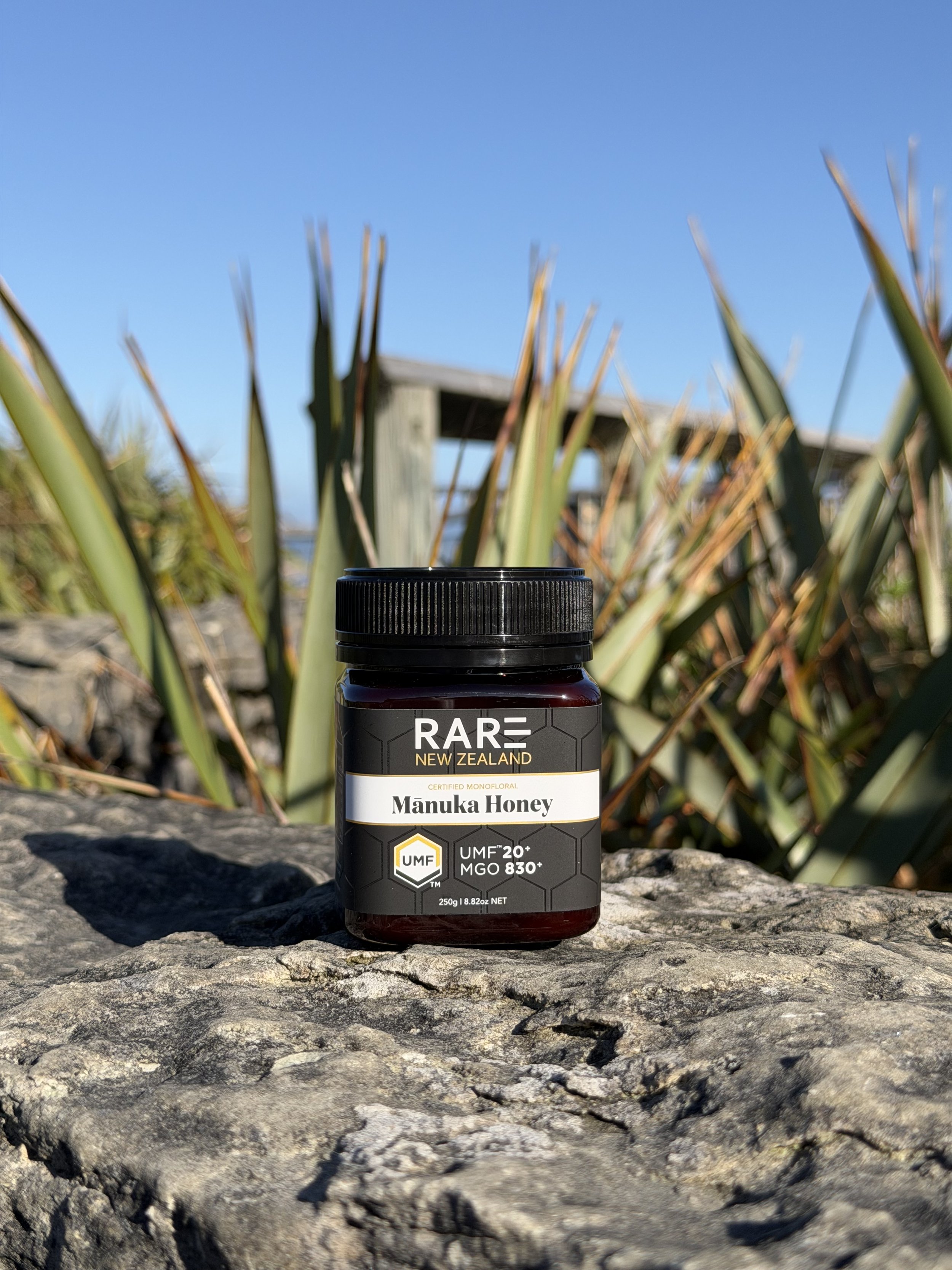 A jar of RARE New Zealand Manuka Honey placed on a textured stone surface outdoors, with tall grasses and blue sky in the background.