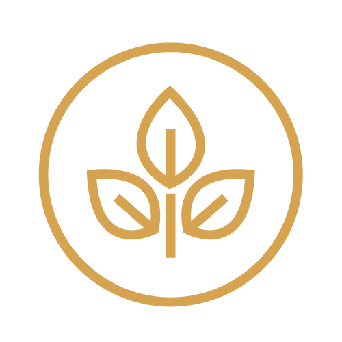 Minimalist logo of a plant with three leaves inside a circle, in gold color on a black background.
