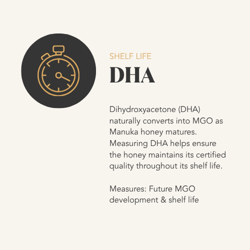 A graphic describing DHA, which is dihydroxyacetone that converts into MGO in honey, indicating shelf life and future development of honey.