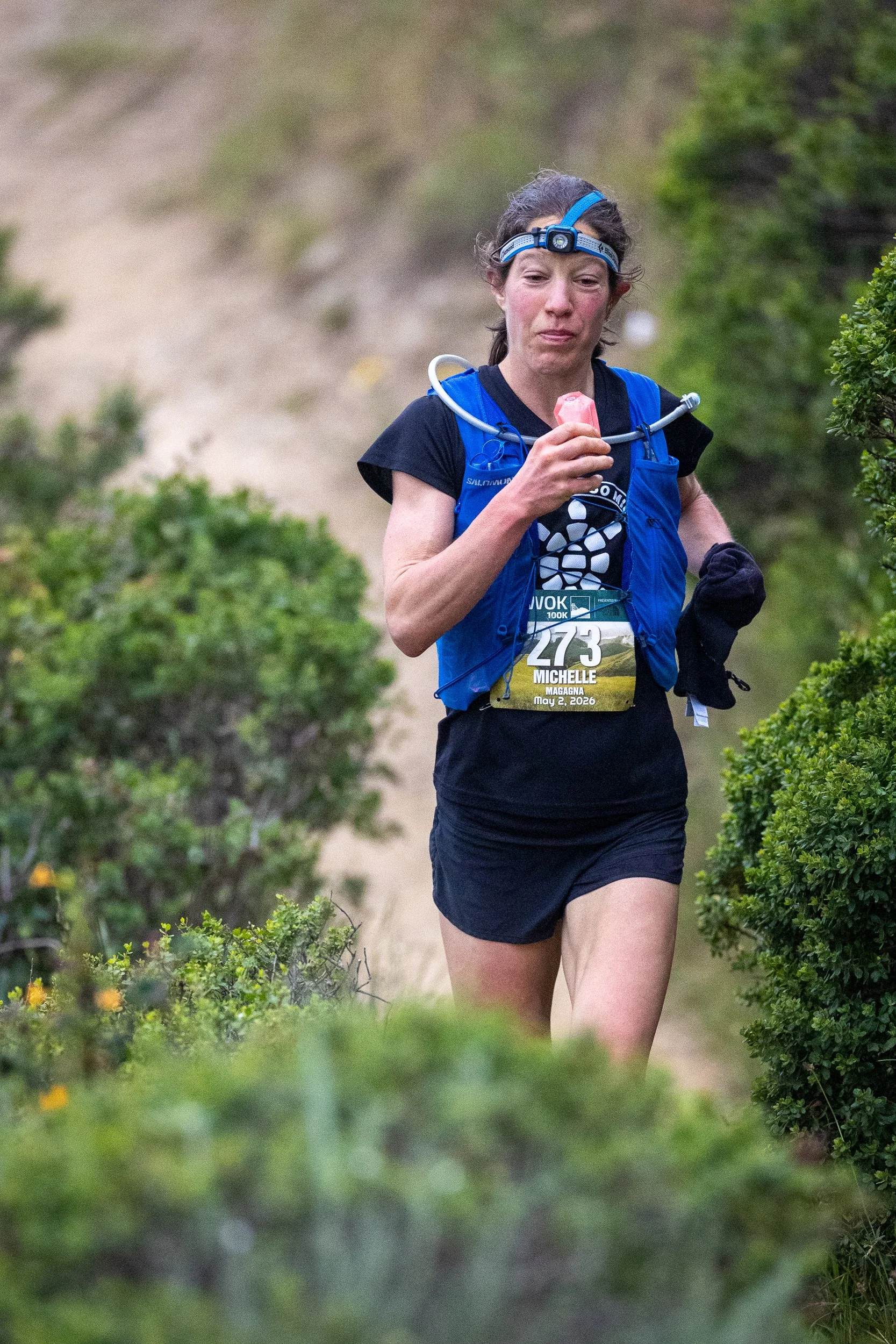 Miwok 100_02.jpg