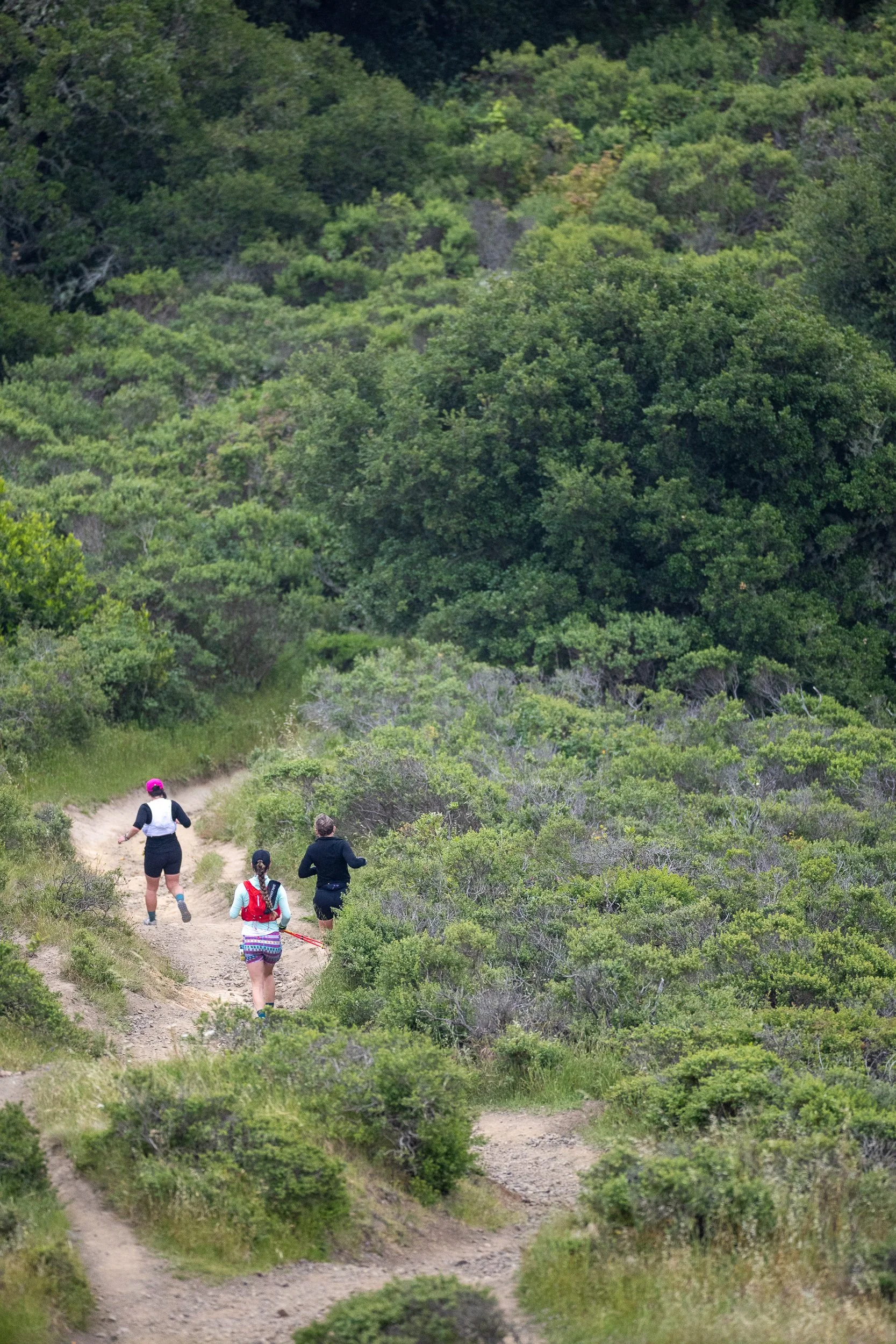 Miwok 100_25.jpg