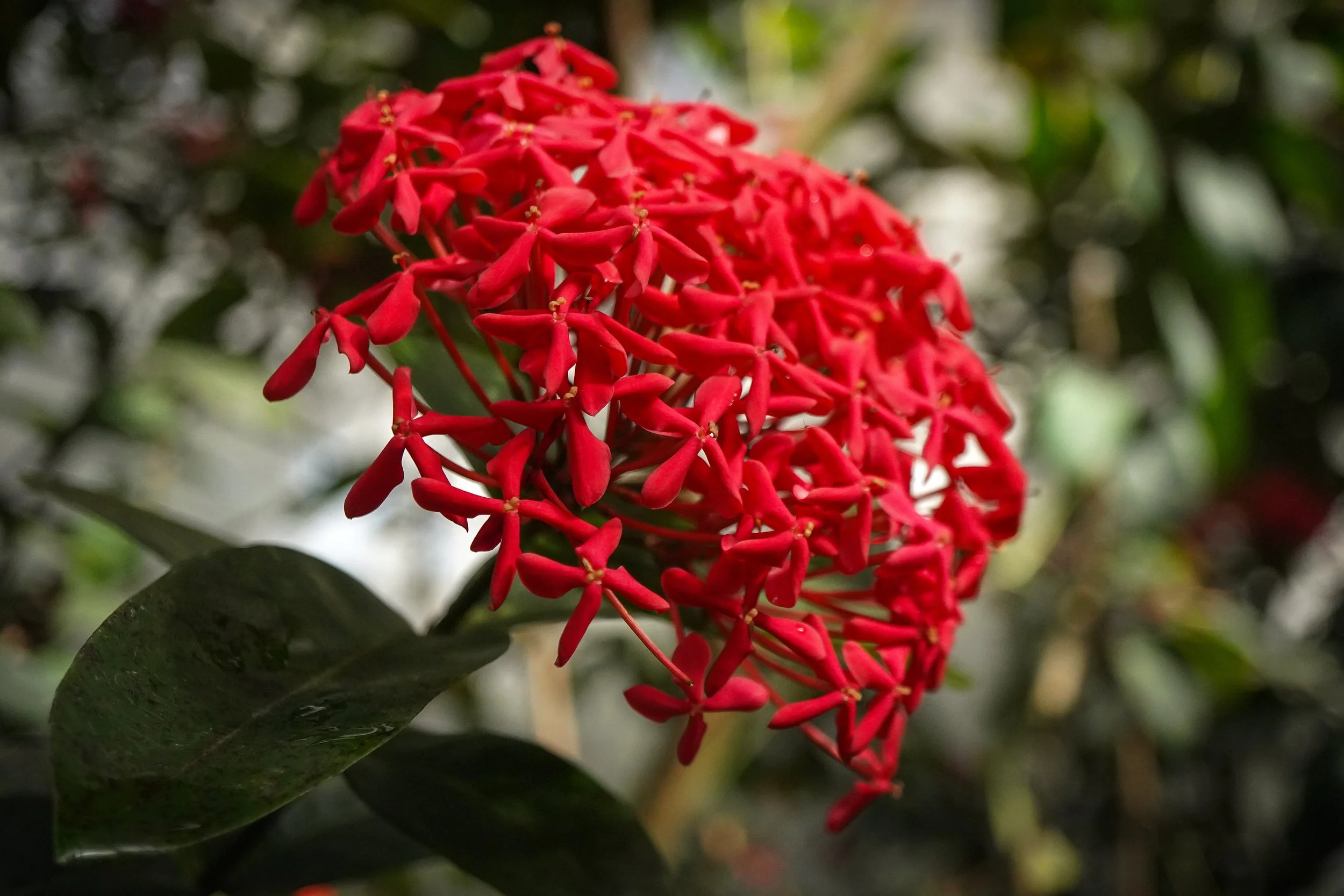LNS04744.jpg