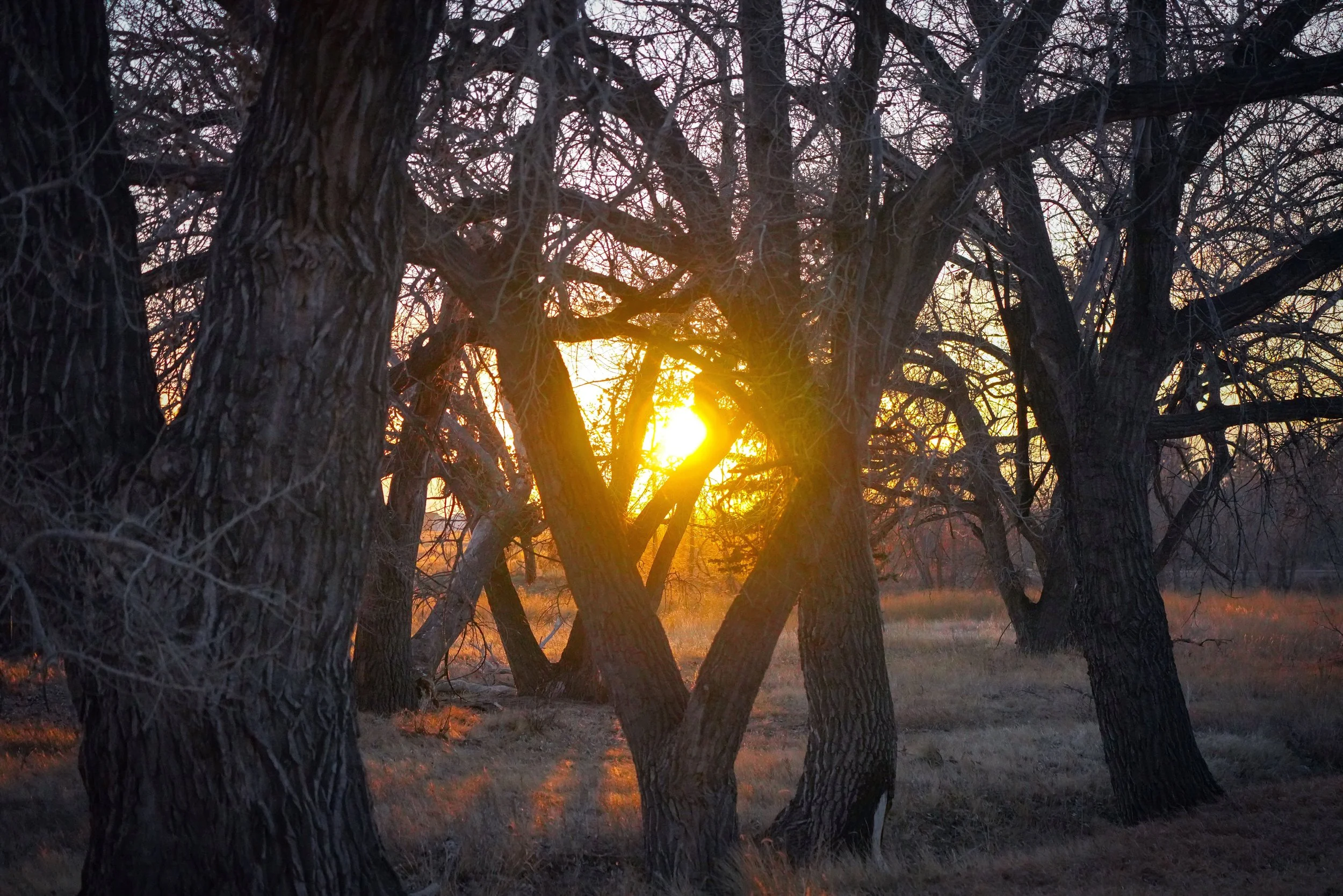 LNS05977.2.jpg