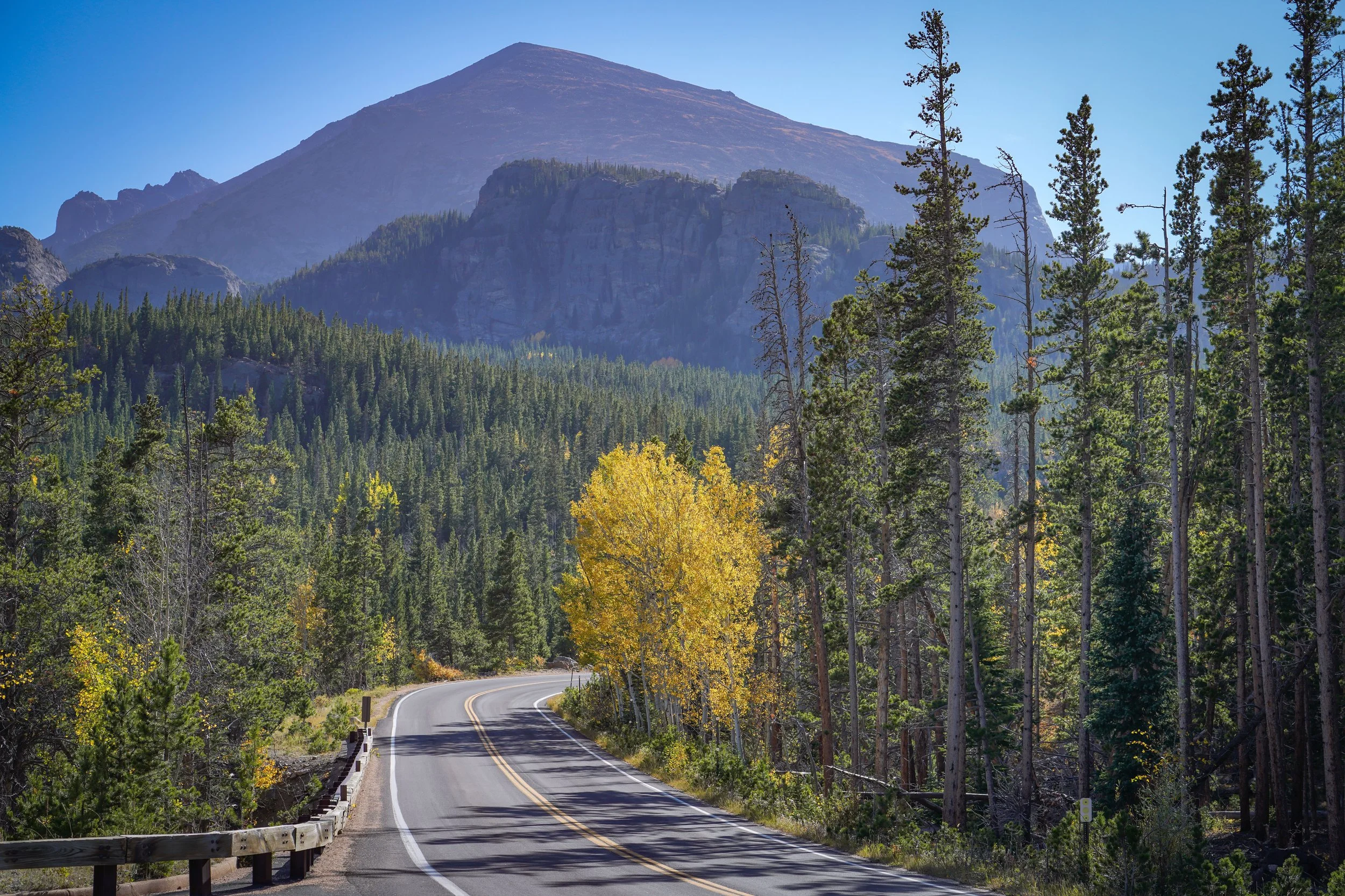 A beautiful drive in the park!