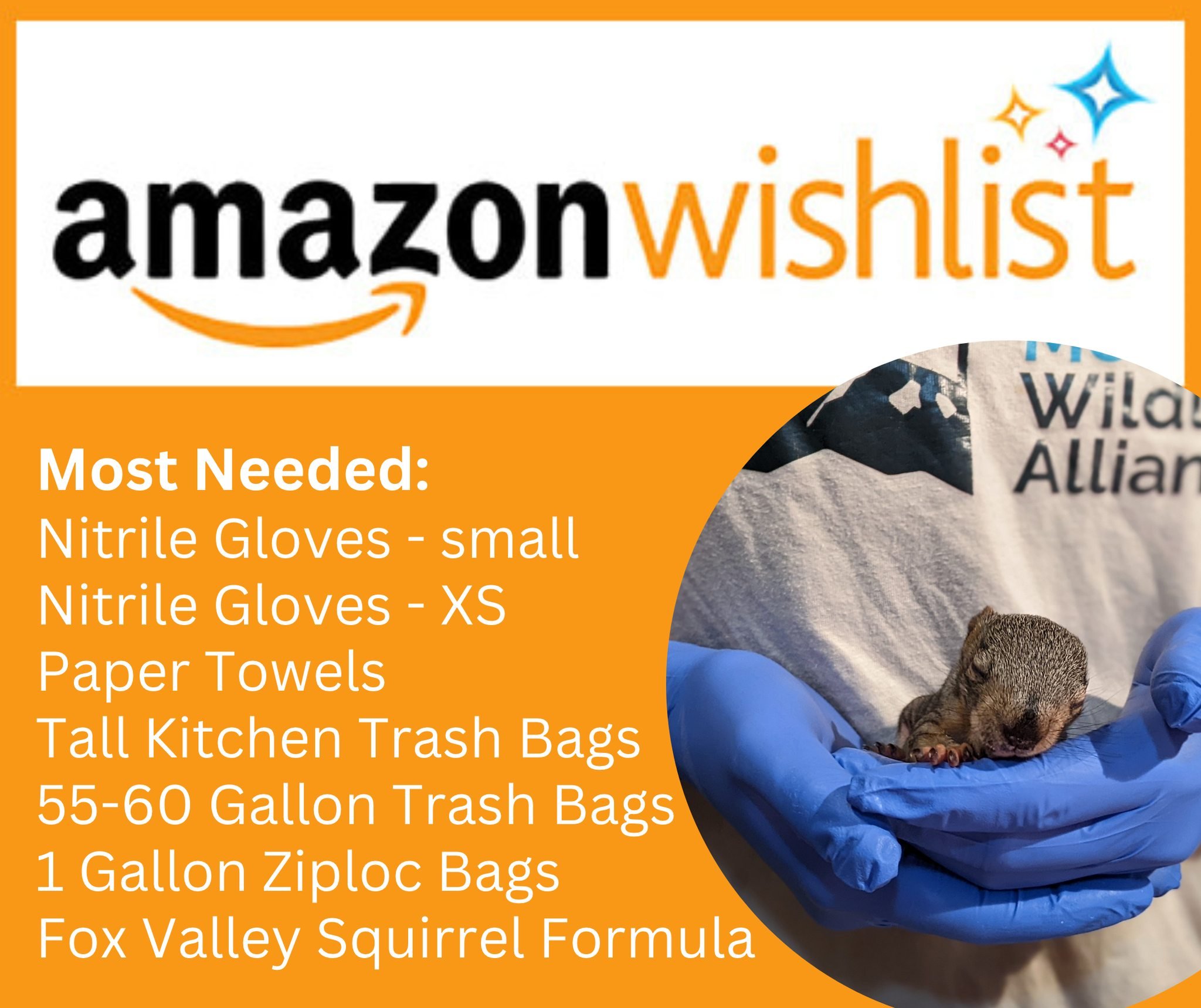 Amazon Wishlist donations