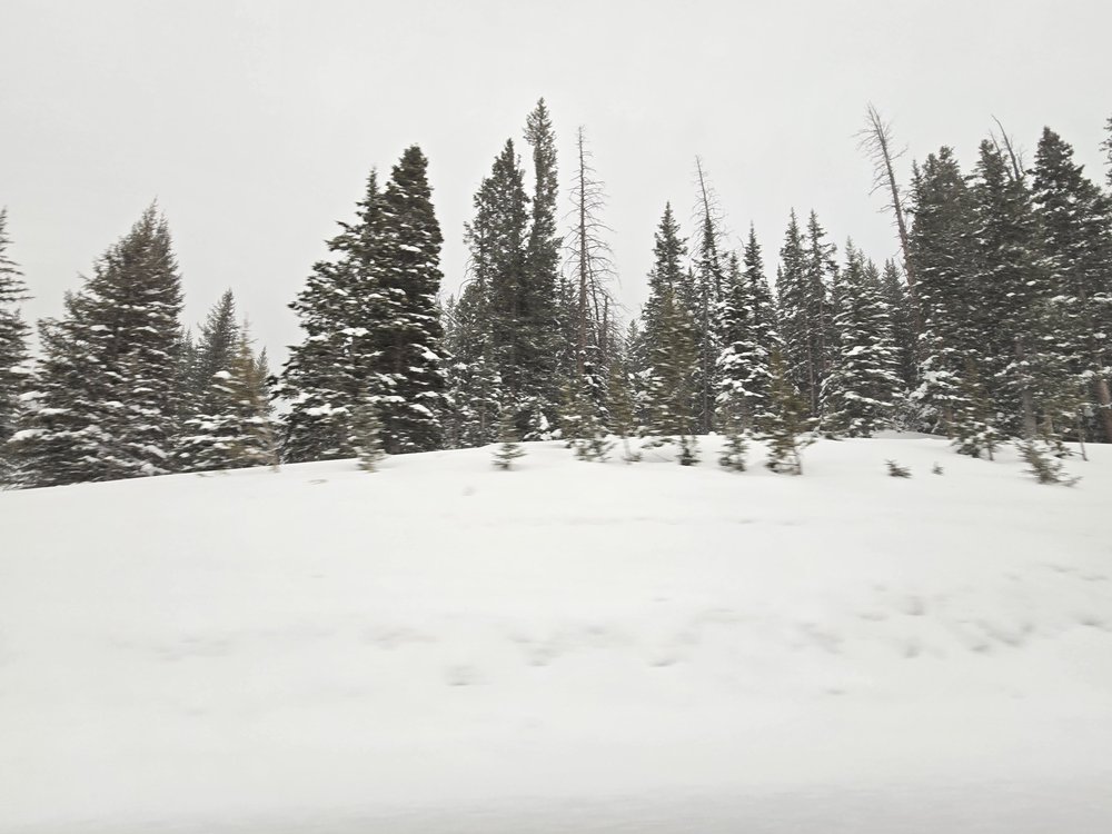 A winter wonderland holding on in the high country!