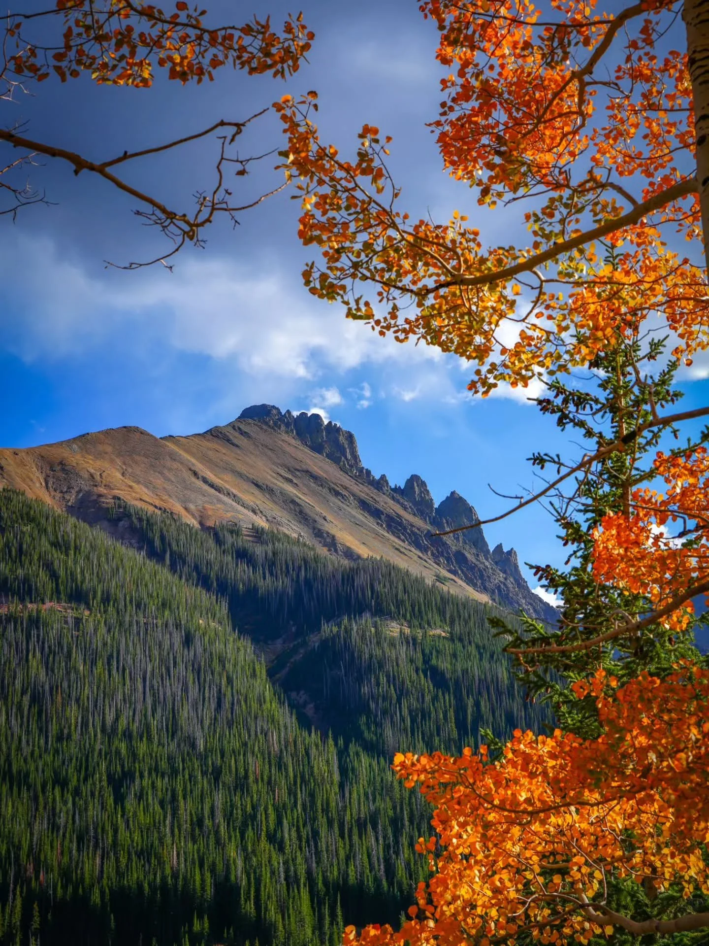Fall is upon us! I'm hoping to get out and see what colors are changing in the high country tomorrow. What are the colors looking like where you live? 
Hope you enjoy these images from last year! Swipe to see more ➡️
🍁🍂🌲🍂🍁
#fallcolors #autumn